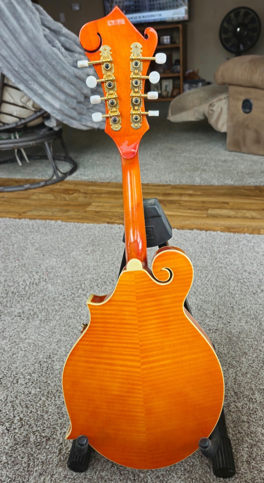 Michael Kelly Mandolin