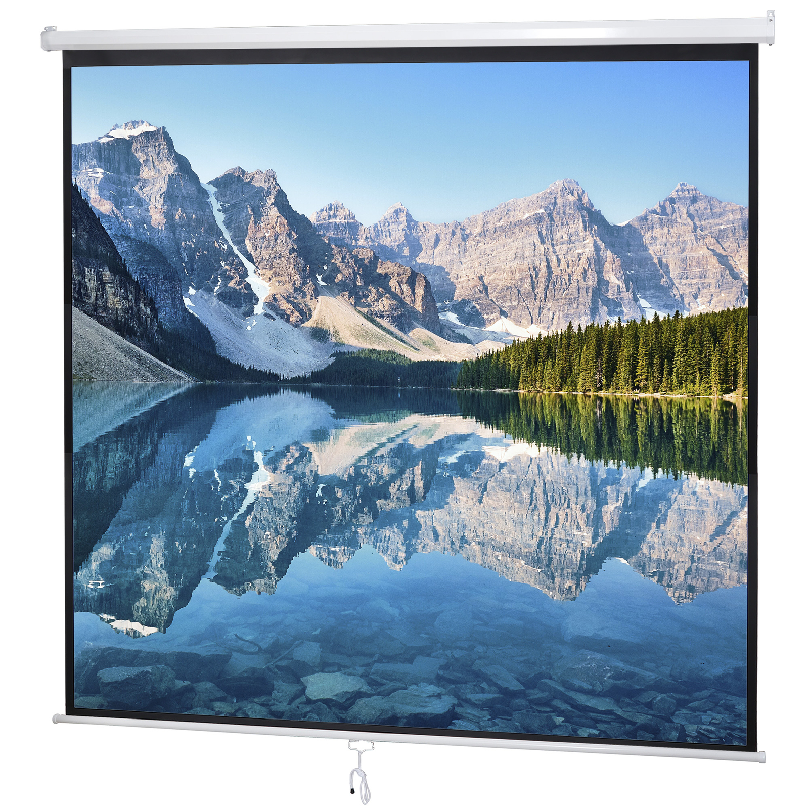 84" X 84"Manual Pull Down Projector Screen Home Theatre Play Game Bedroom