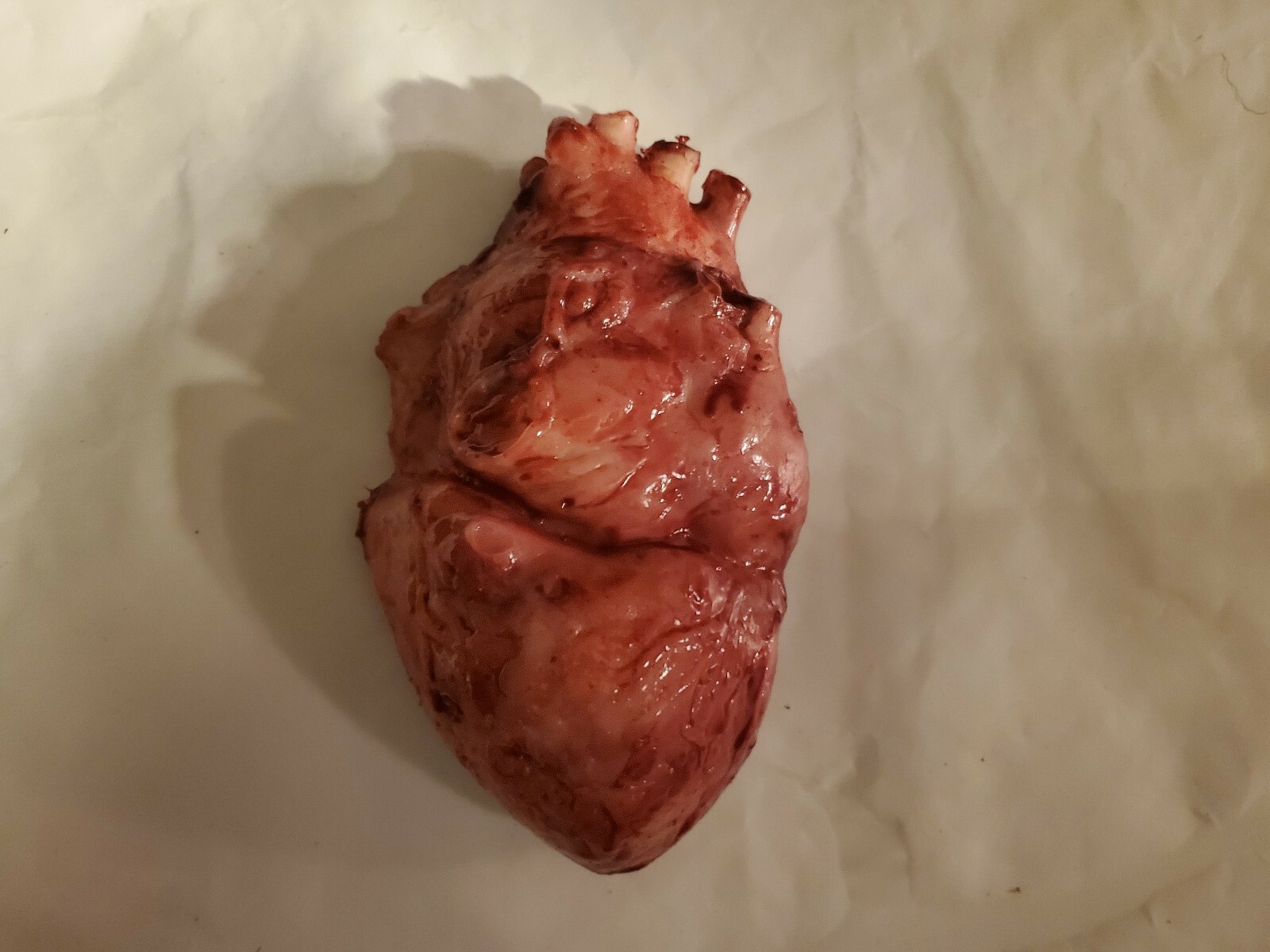 Silicone horror movie prop heart organ gore special effects guts splatter film