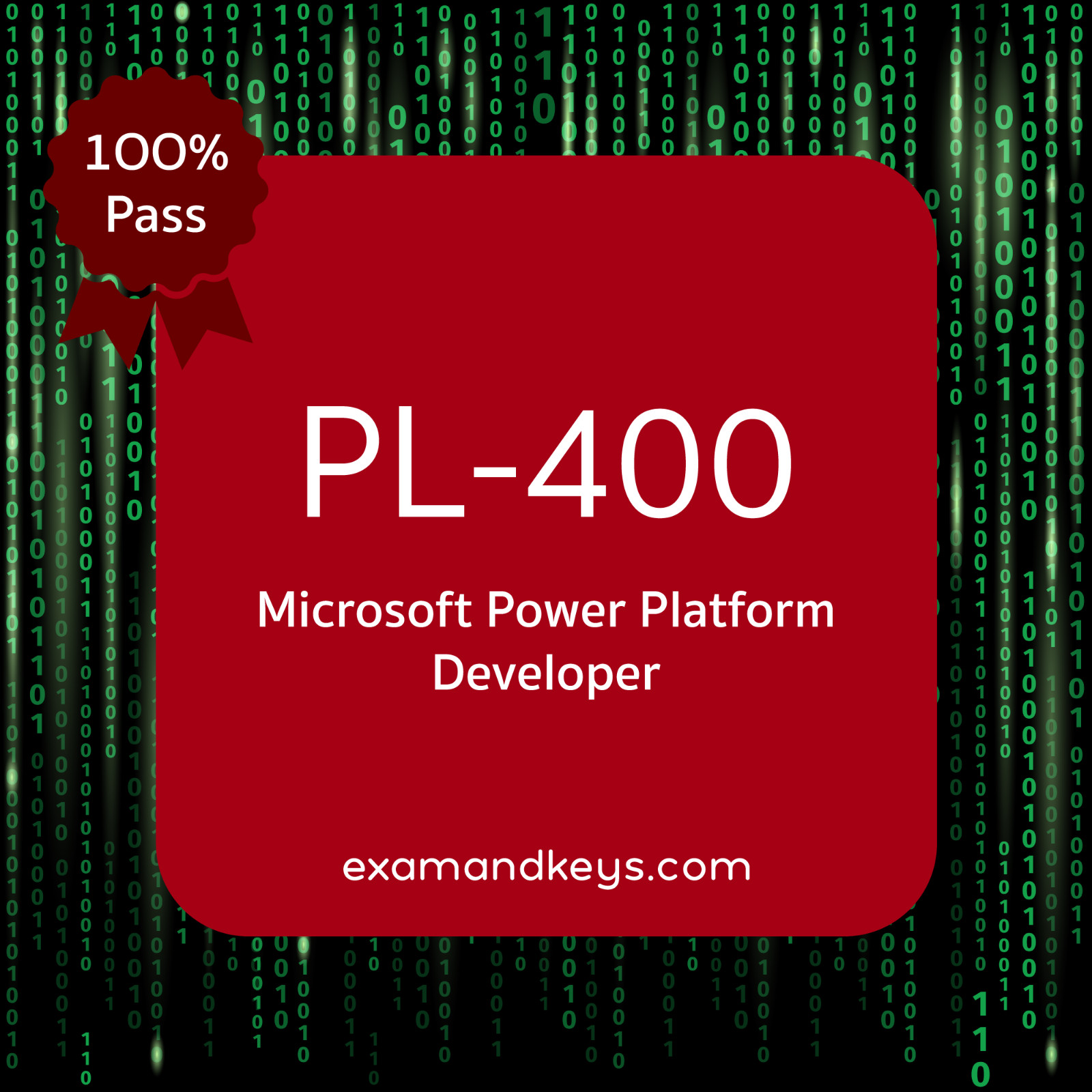 PL-400 Exam dumps Latest updates!!!!