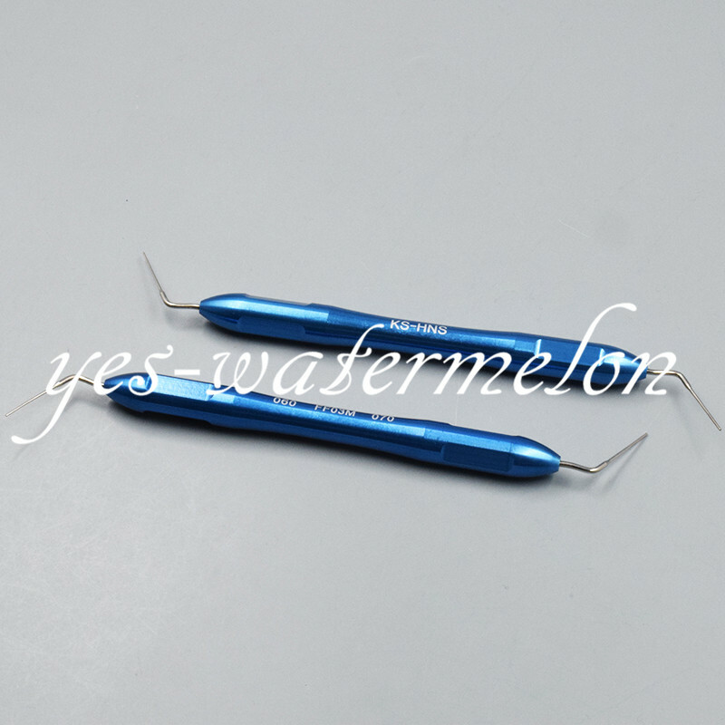 Dental Endodontic Endo Buchanan Hand Plugger Tip Fill Obturation Screw-type