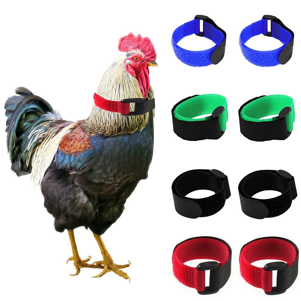 Tkocisa 8 Pack No Crow Width: 0.79 inch, Length: 7.89 Multicolor