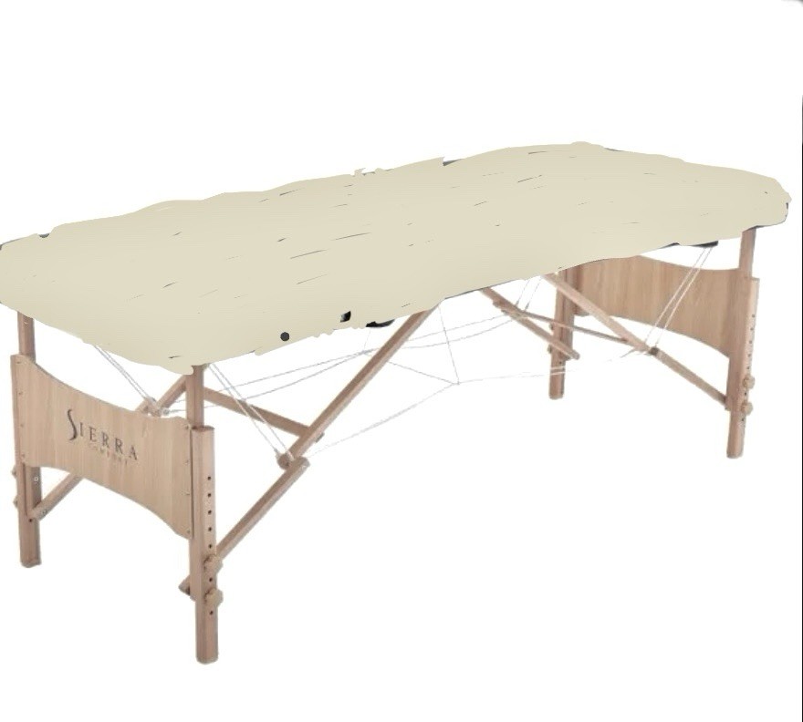 Sierra Comfort Massage Table  tan w/ armrests and pillow ret$245