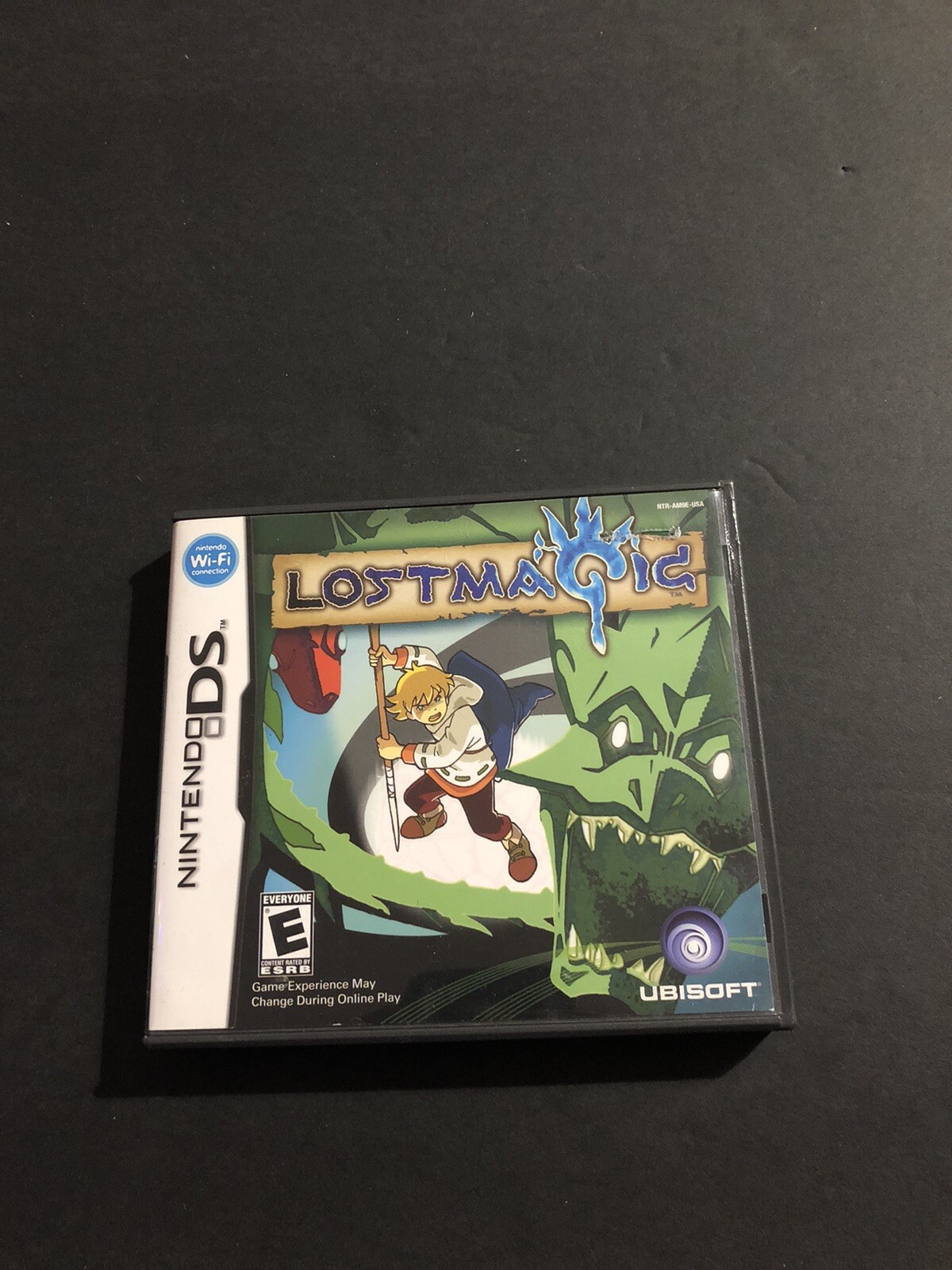 nintendo ds lost magic case only