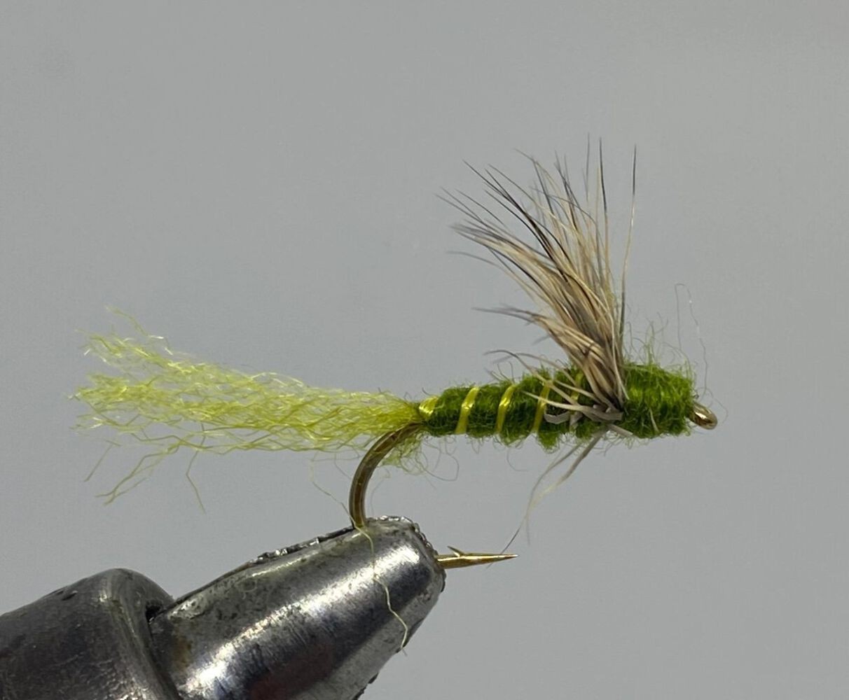 One Dozen (12) Green Drake Sparkle Dun Dry Fly- Strike Fly Company