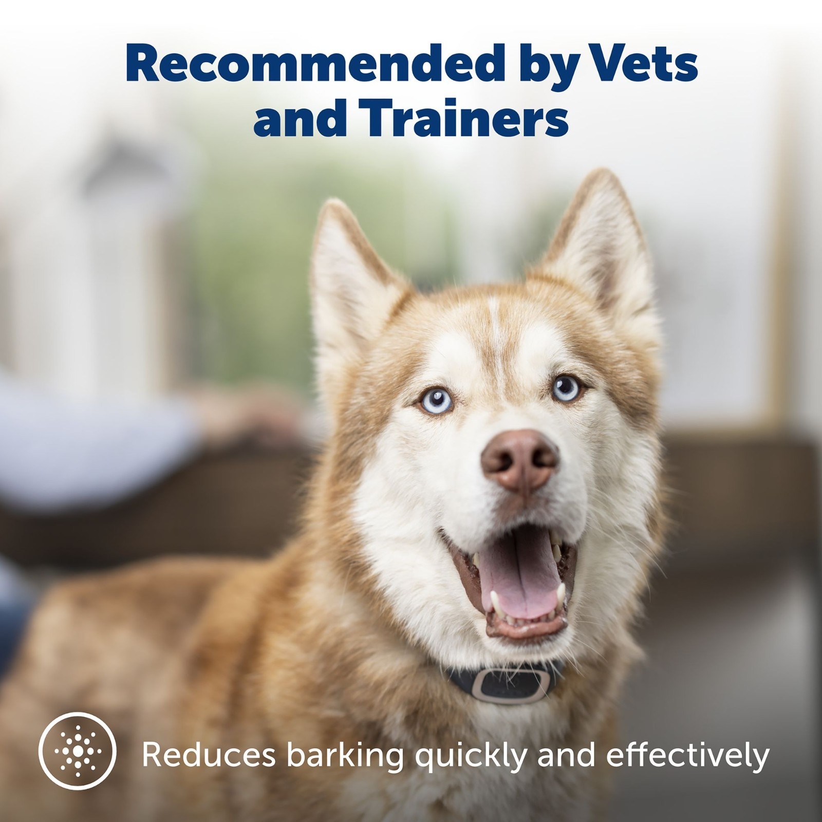 PetSafe Bark Control Collar - Waterproof Basic Bark Control Collar for Dogs 8 lb
