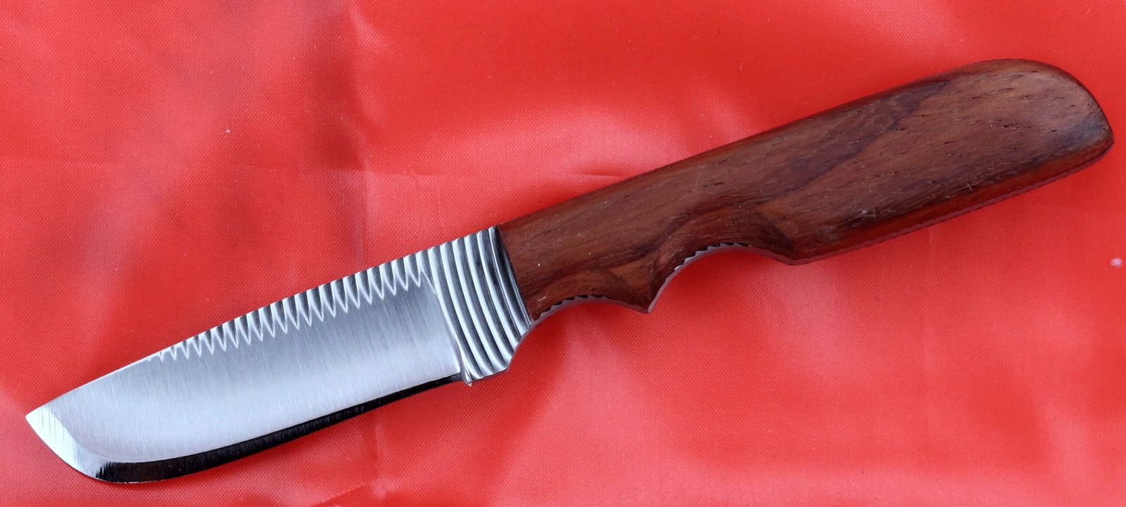 Anza Hand Made High Carbon Steel Curve Tooth Fixed Blade   Paduak Handle USA