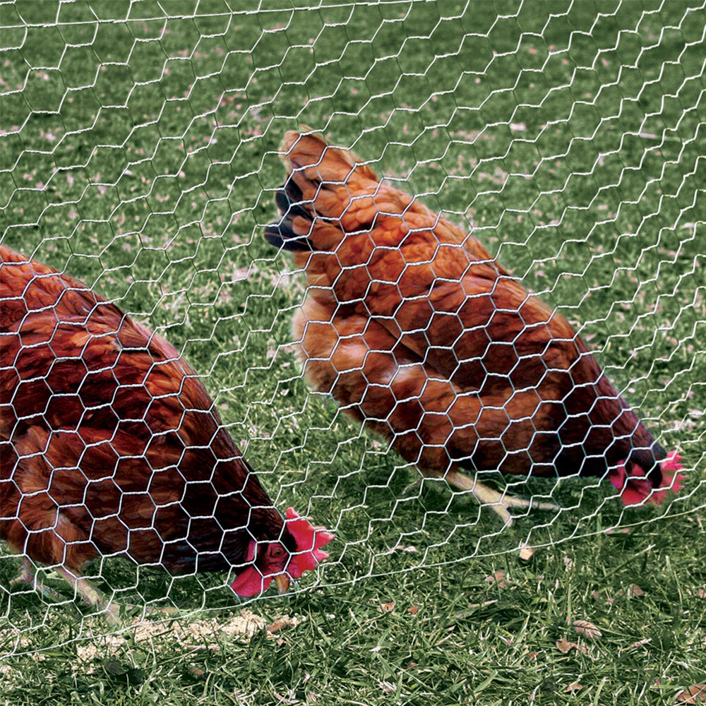 GARDEN POULTRY NETTING - 24" x 25' - 20 GAUGE GALVANIZED STEEL 1" MESH OPENINGS