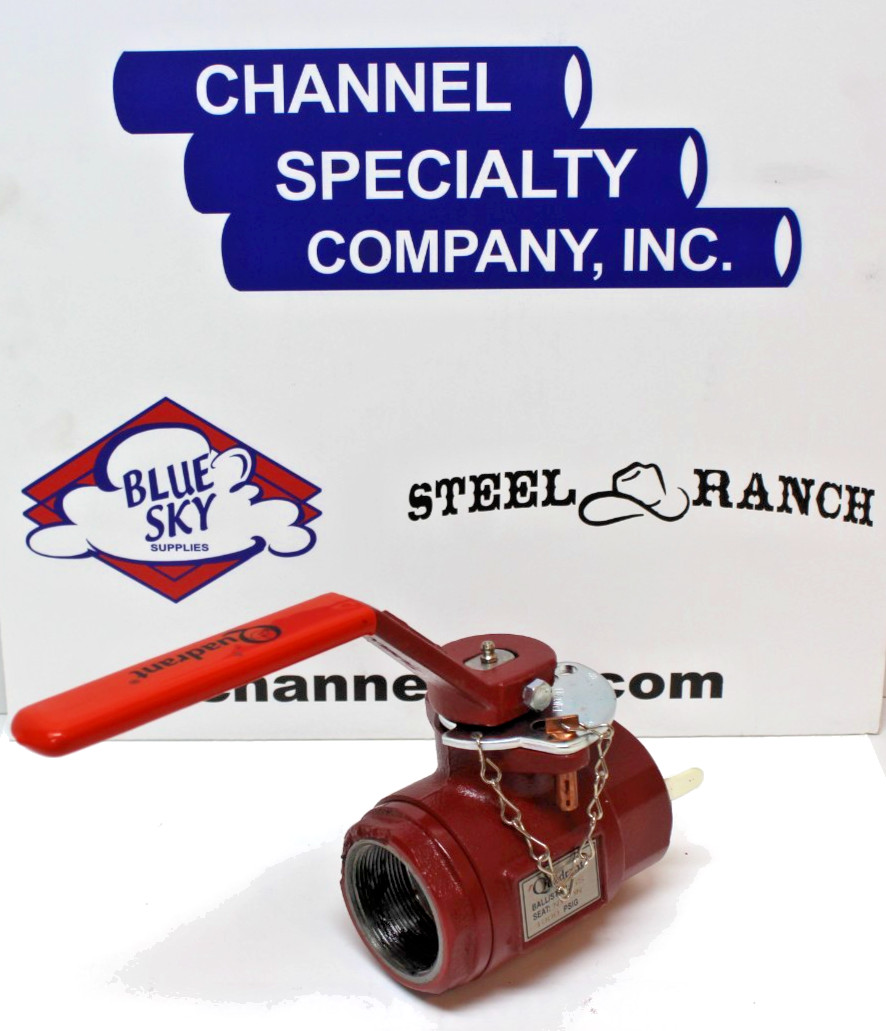 2" 1,000# Quadrant Ductile Iron Reducing Port SS Nylon Seat Ball Valve