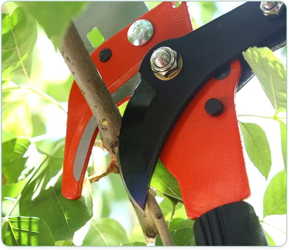 Retractable Tree Pruner Saw Garden Fruit Tree Trimmer Pruning Tool Without Pole