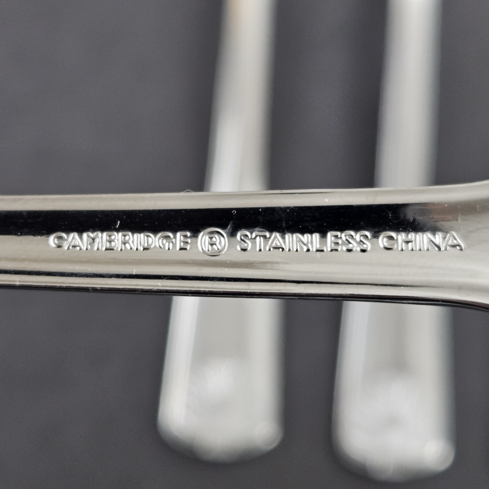 Cambridge Flatware Teaspoon Lot Shell Pattern Stainless 10 Teaspoons
