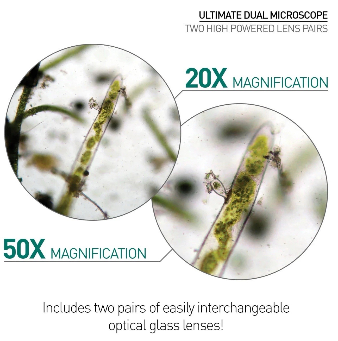National Geographic Ultimate Dual Microscope