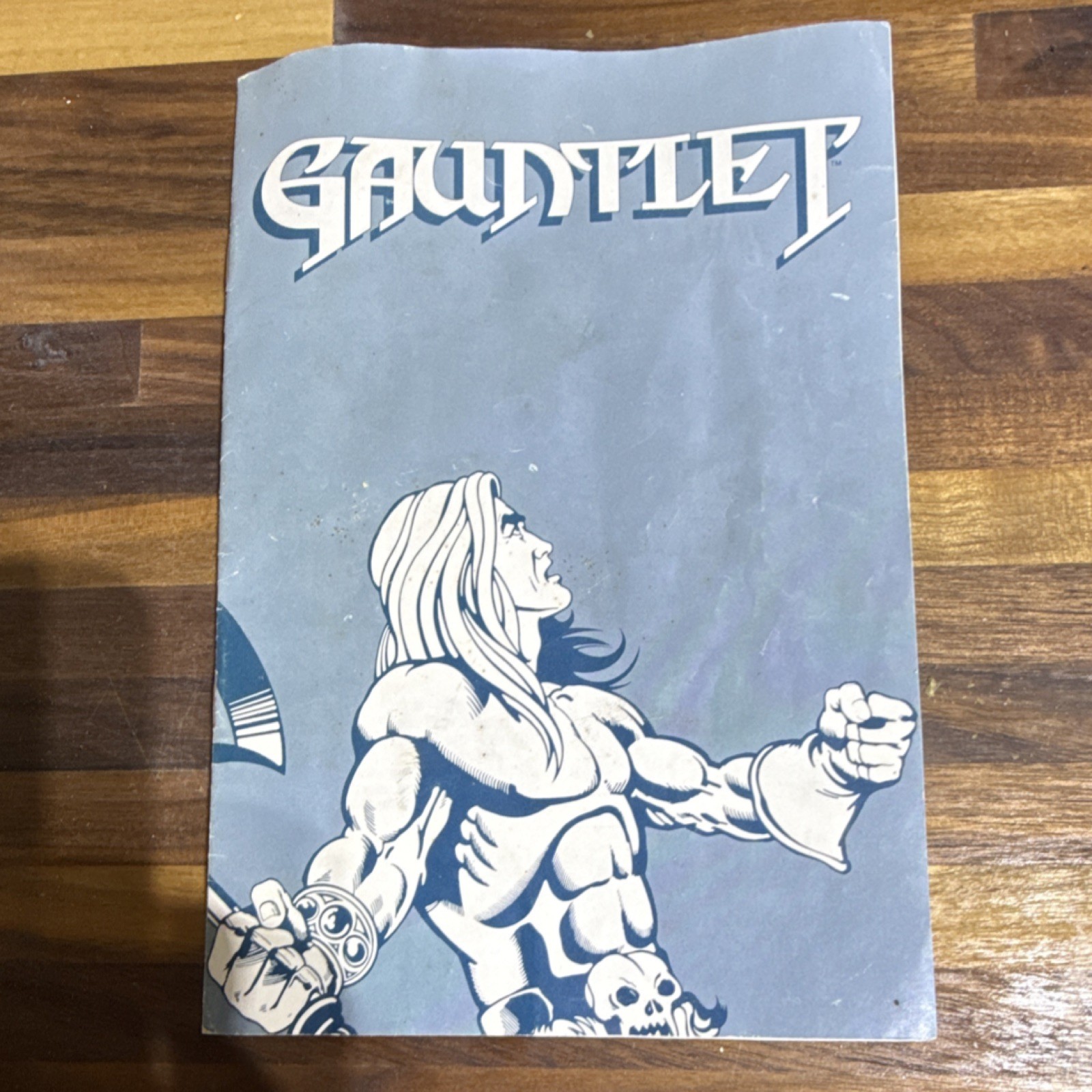 Mindscape Gauntlet Video Game Manual Original English Model Mindscape Inc