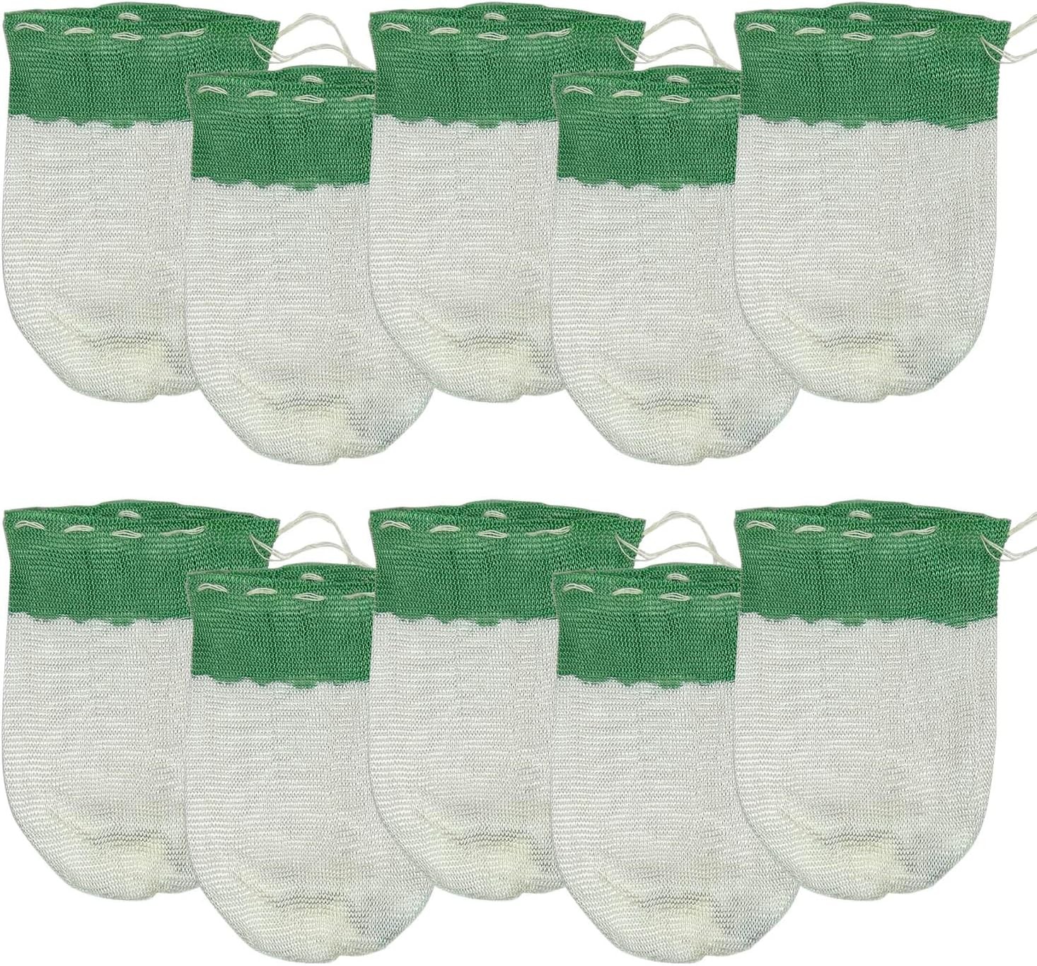Propane Lantern Mantles for Camping