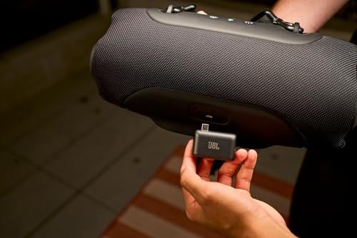 JBL EasySing Mic Mini Duo Compact Wireless Microphone Black JBLESMICMINIDUO FS