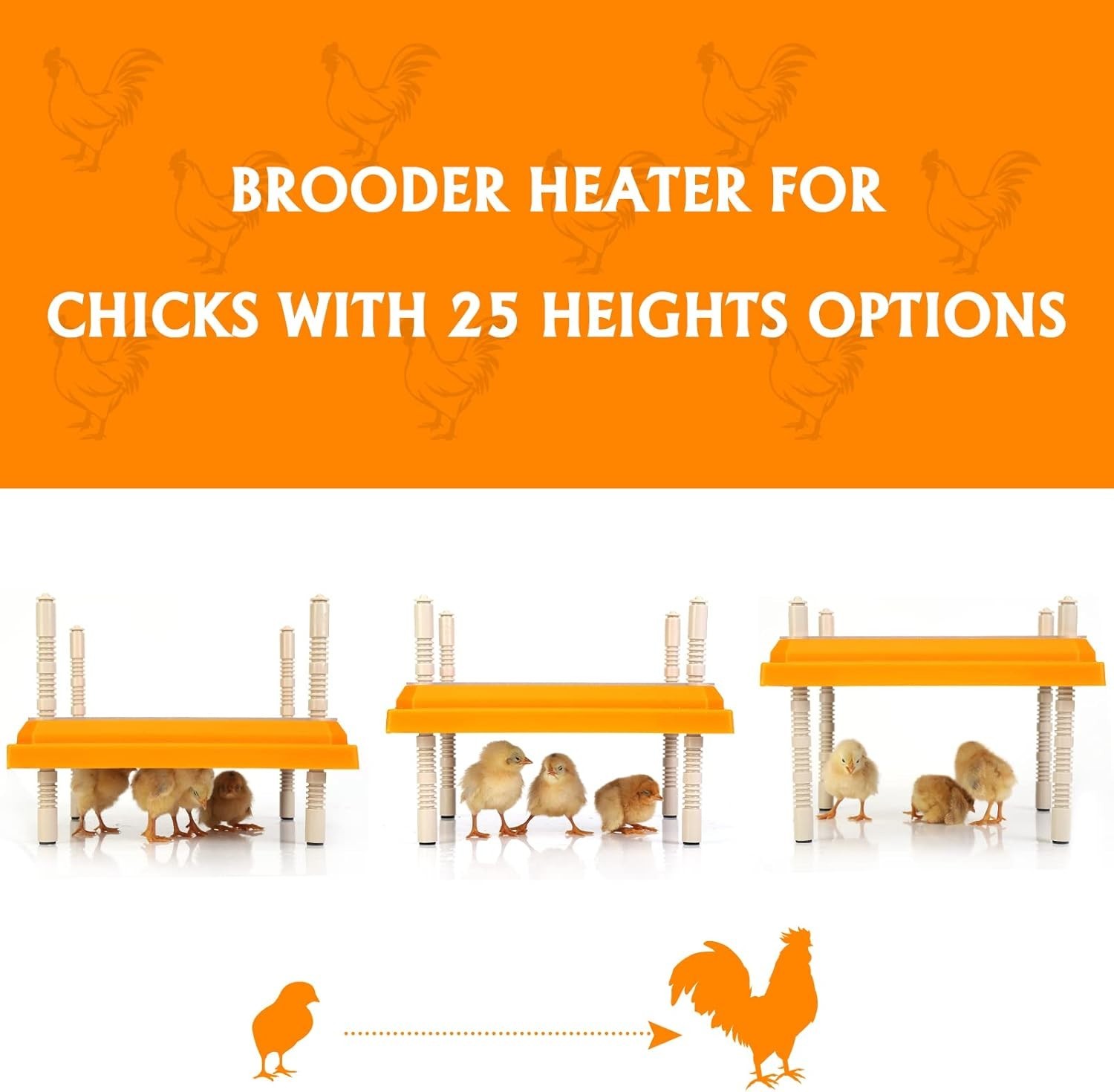 Electric Heating Plate for Chicks with Multiple Height Options and Insulation