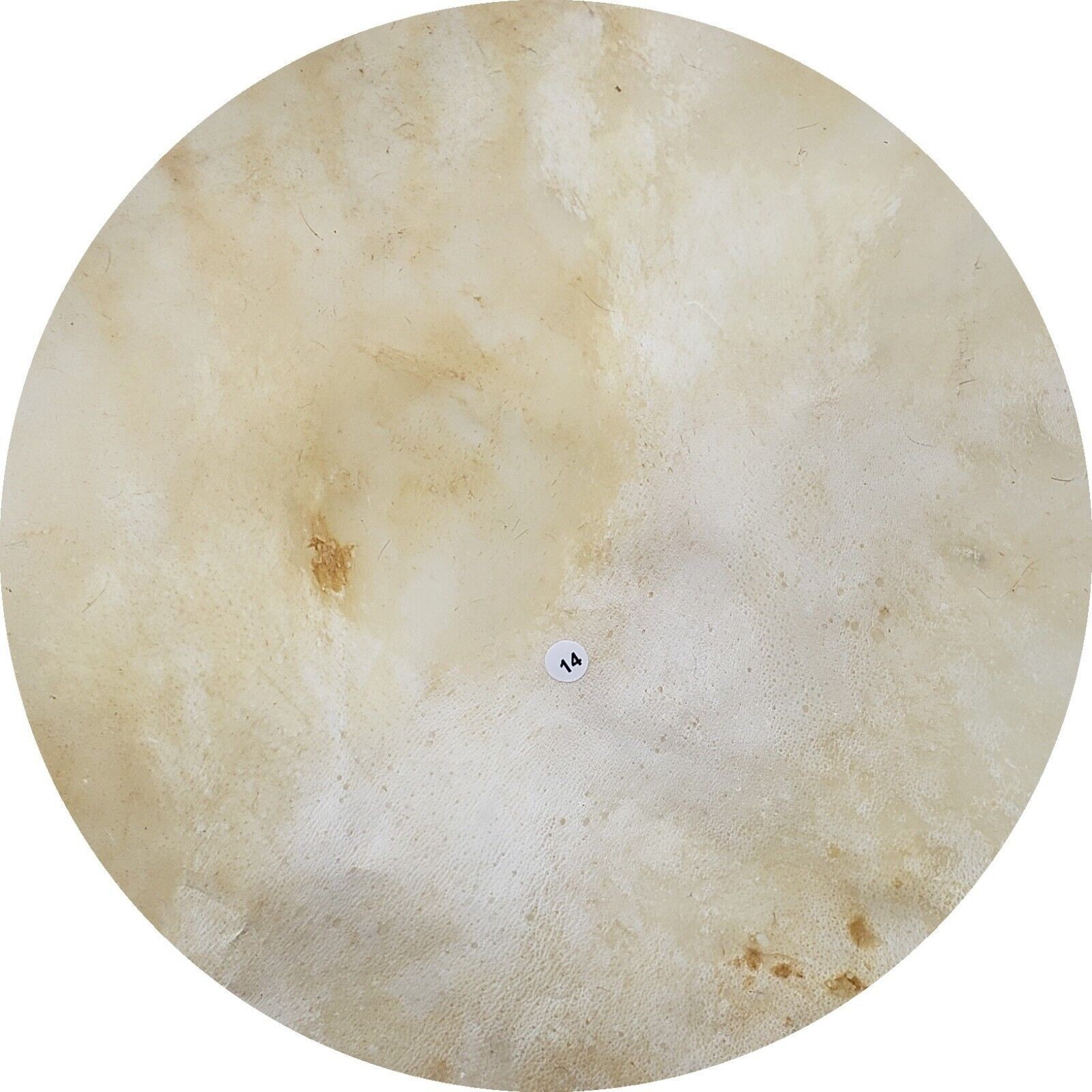 Calf  Natural Skin Shamanic Drum Hand Doumbek Djembes Tambourines Banjo Snare