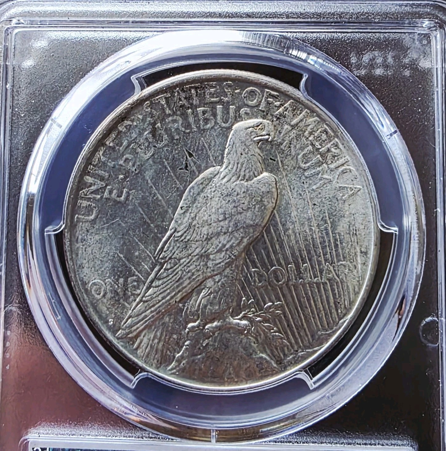 1926-D Peace Dollar PCGS MS 64 Silver Coin