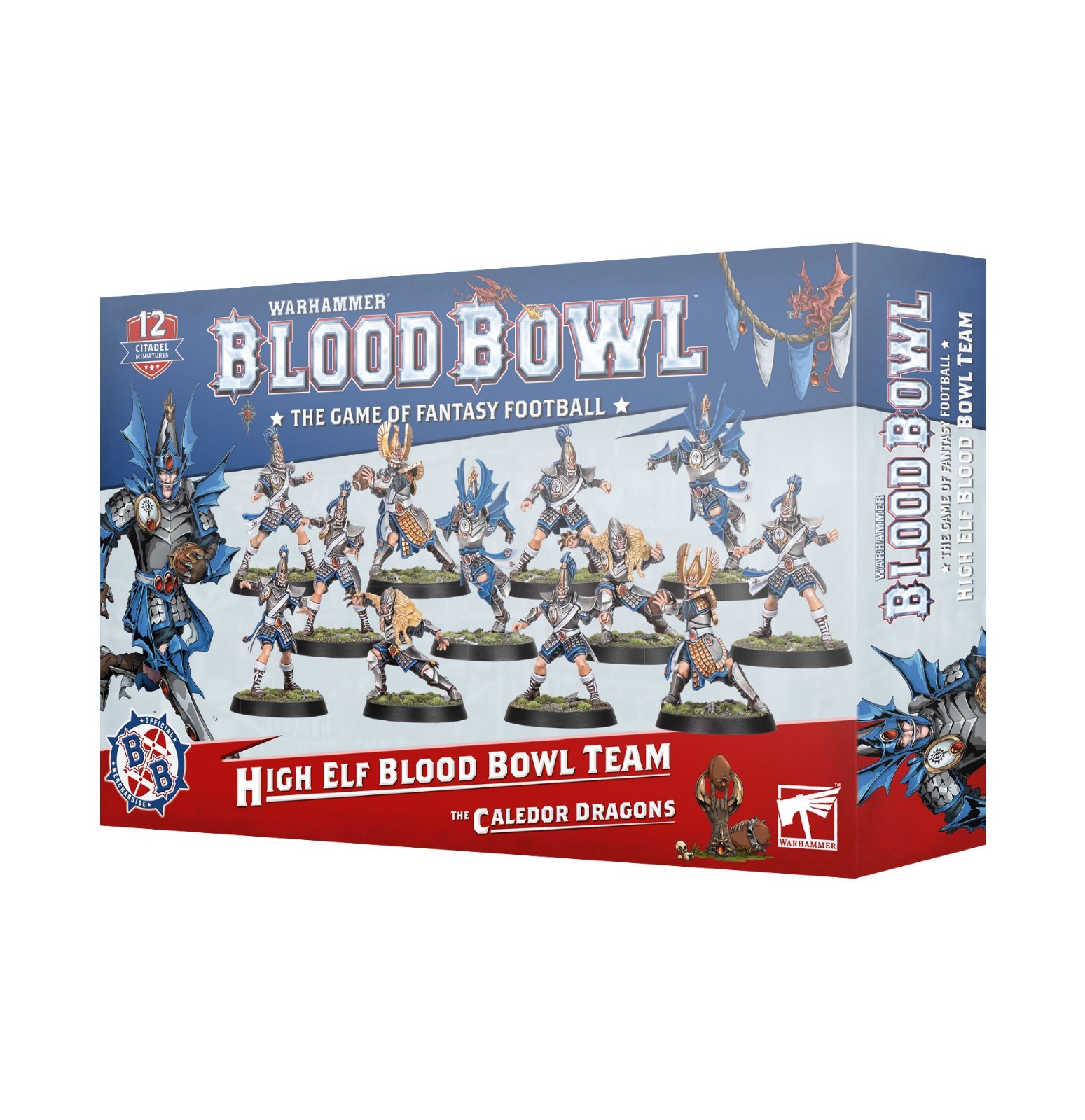 WARHAMMER BLOOD BOWL - HIGH ELF BLOOD BOWL TEAM: THE CALEDOR DRAGONS 202-62 NEW