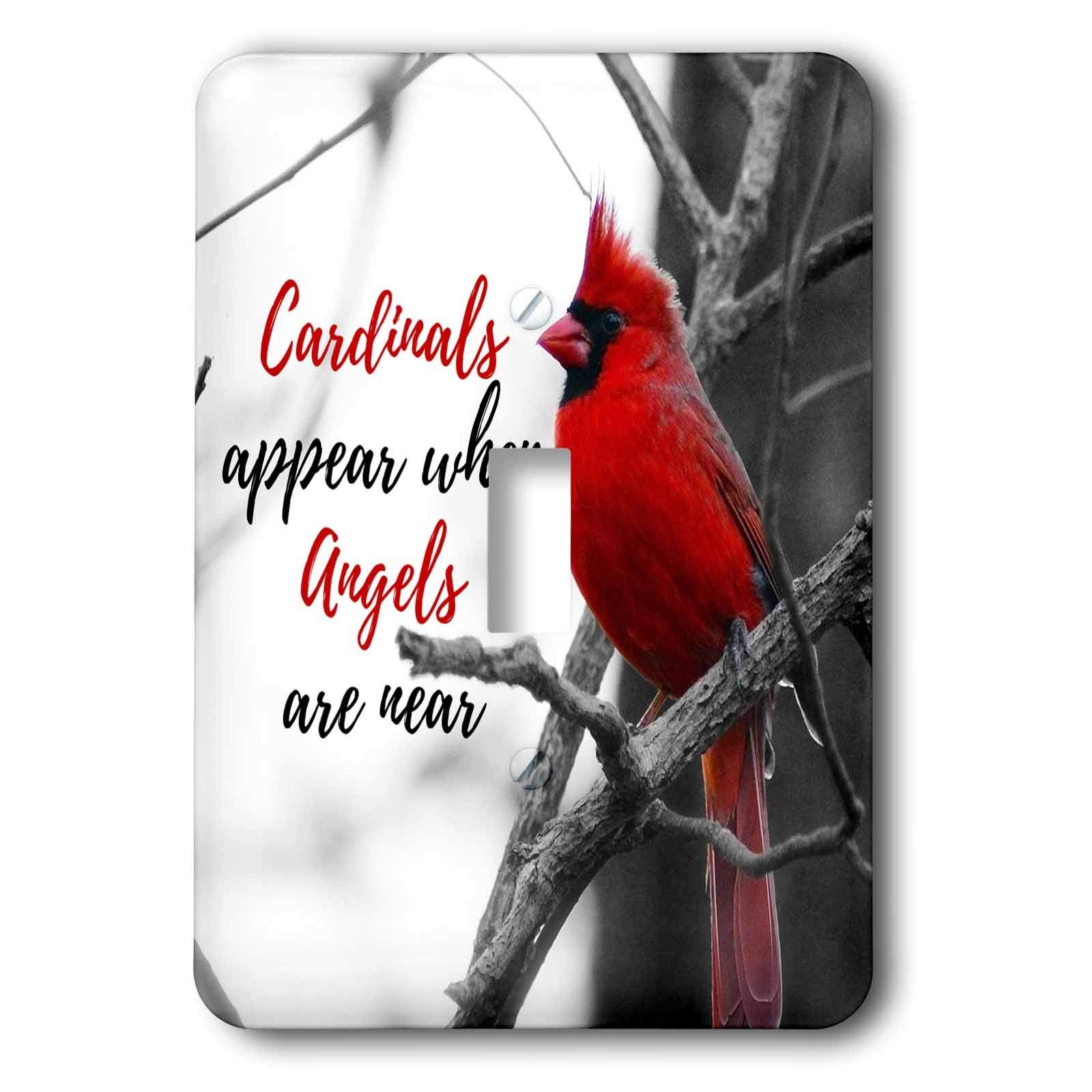 3dRose Cardinals appear when Angels are near on a photo of aLight Switch Covers