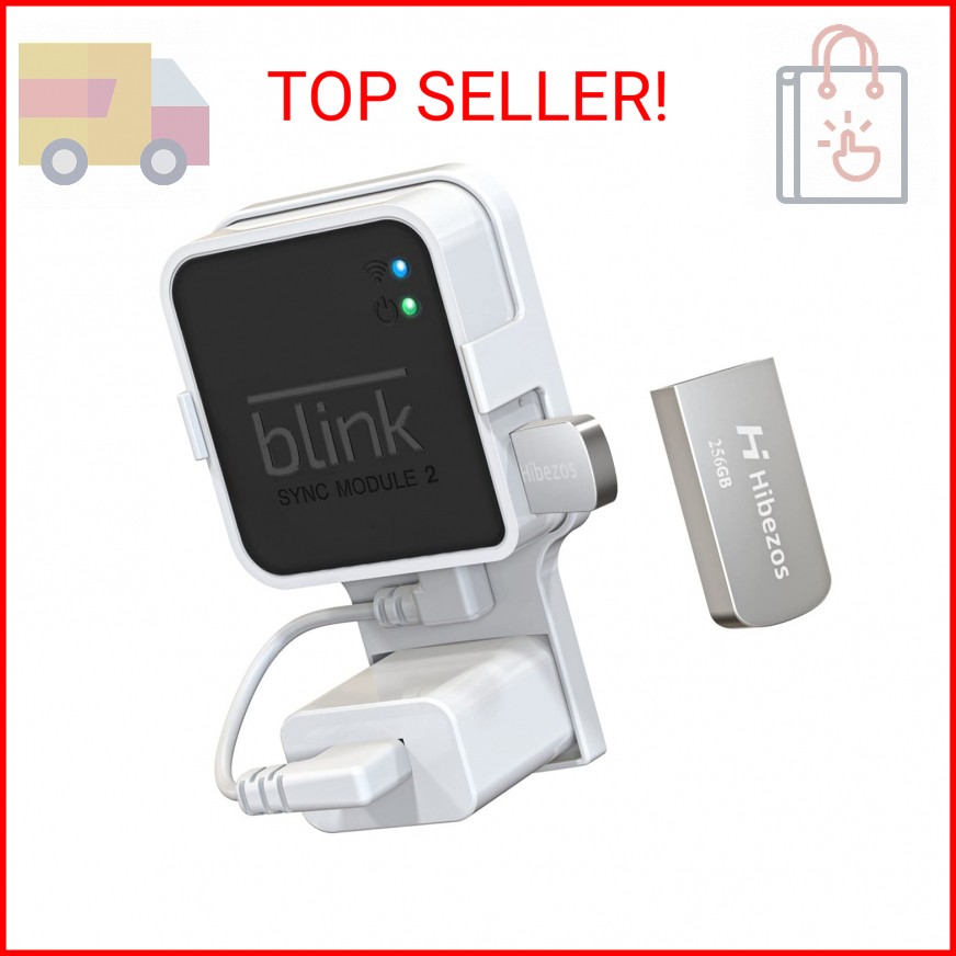 256GB USB Flash Drive and Outlet Mount for Blink Sync Module 2, Save Space and E