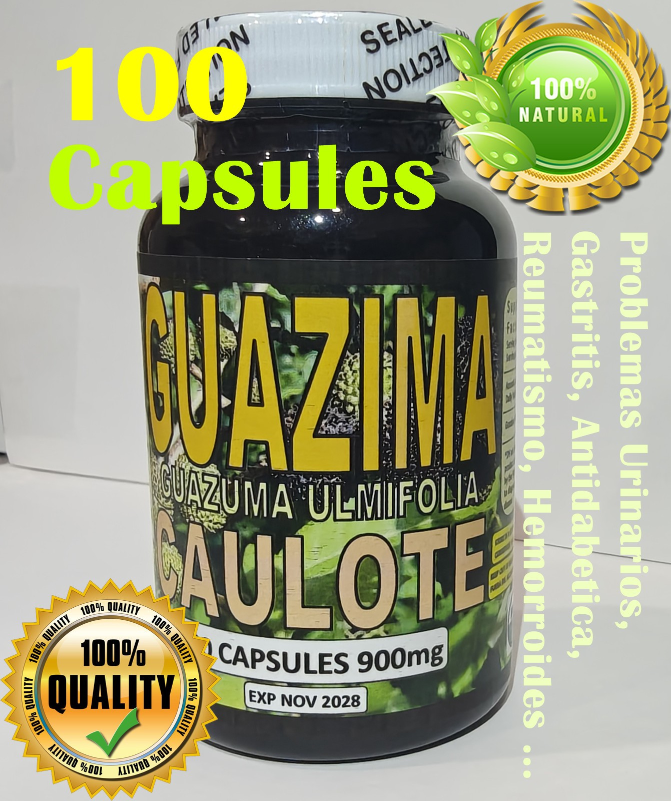 guazima guásimo guácima guásima caulote cuaulote Guazuma ulmifolia 100 Caps !!!