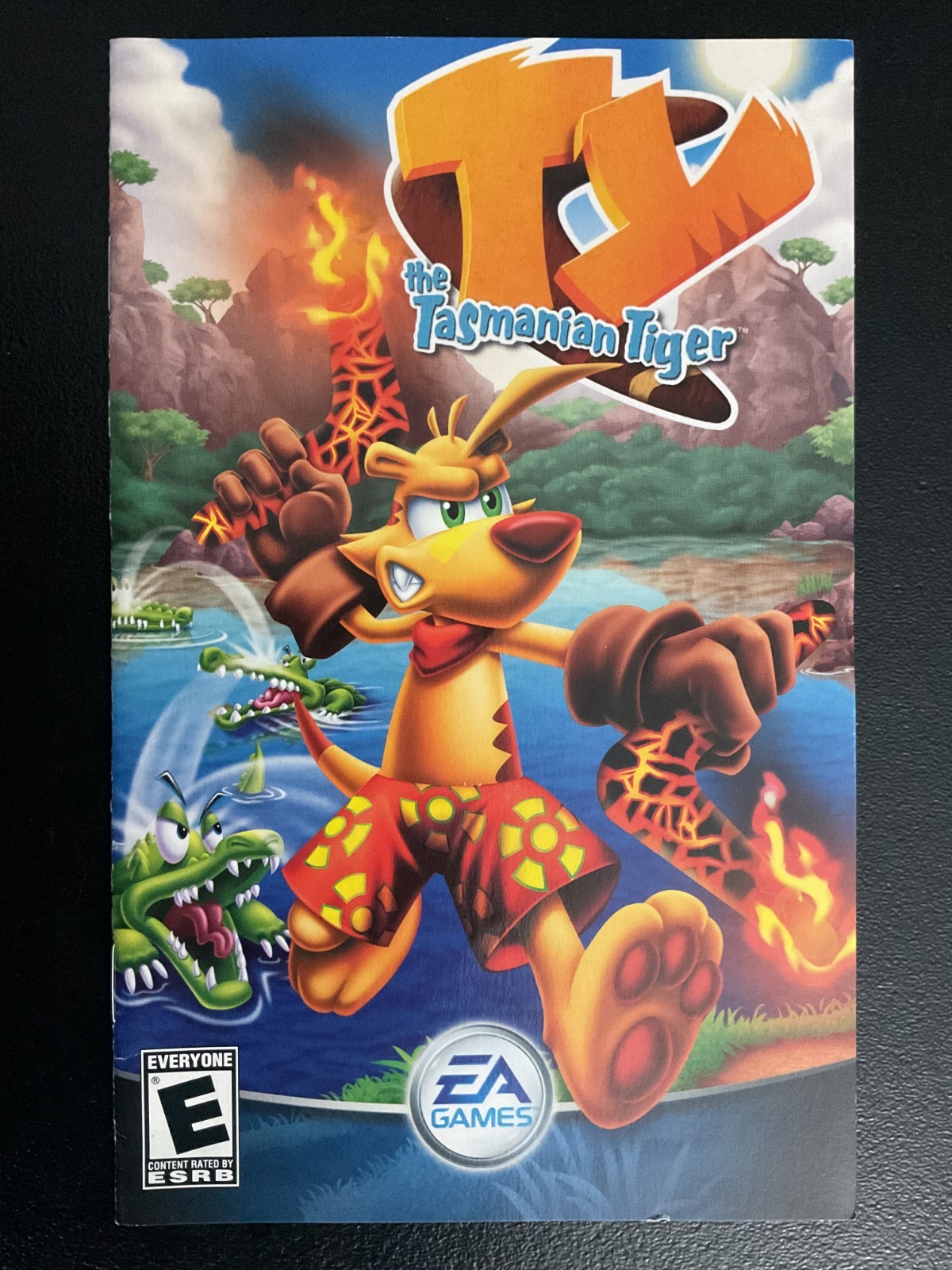 Ty The Tasmanian Tiger 1 PS2 PlayStation 2 Instruction Manual Only
