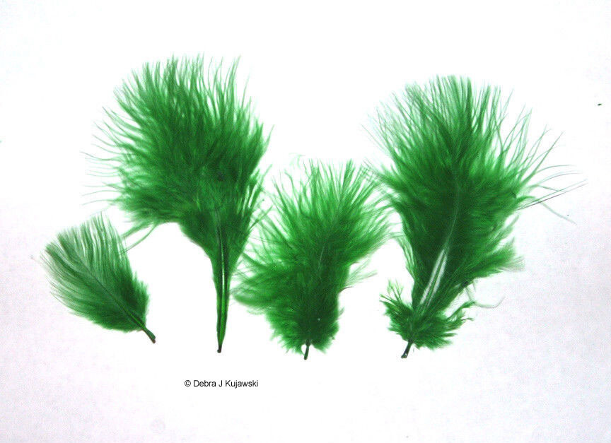 Marabou Feathers Small 1-3" fluffs KELLY GREEN  7 grams approx. 105 per bag