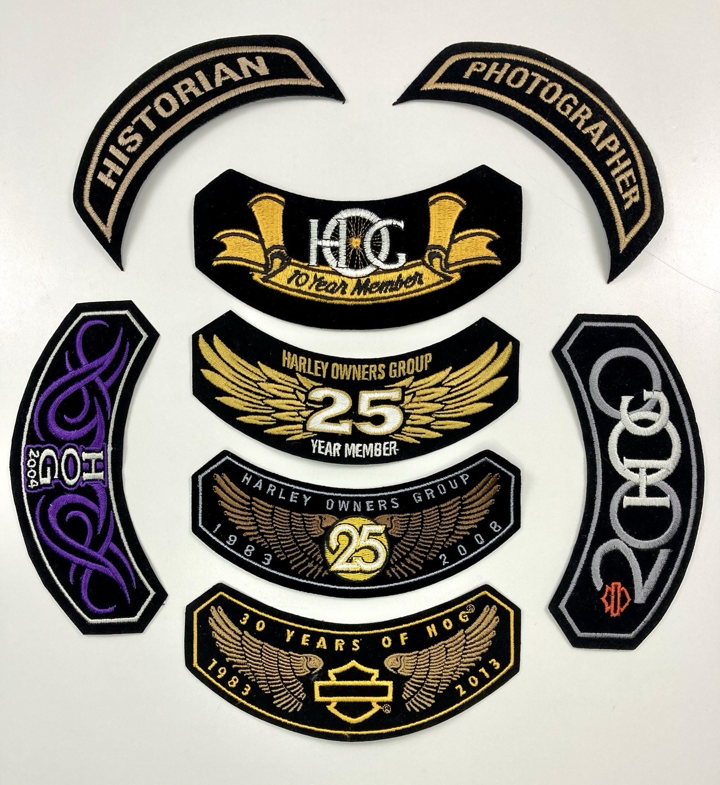HARLEY DAVIDSON HOG Member Patches Lot of 8, 10 25 Yr. Historian, Photographer