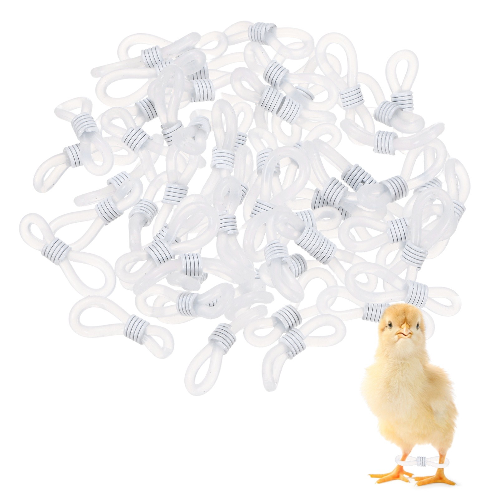 50-Pack Chick Leg Bands, Silicone Poultry Leg Bands for Chicks Ducks [White]