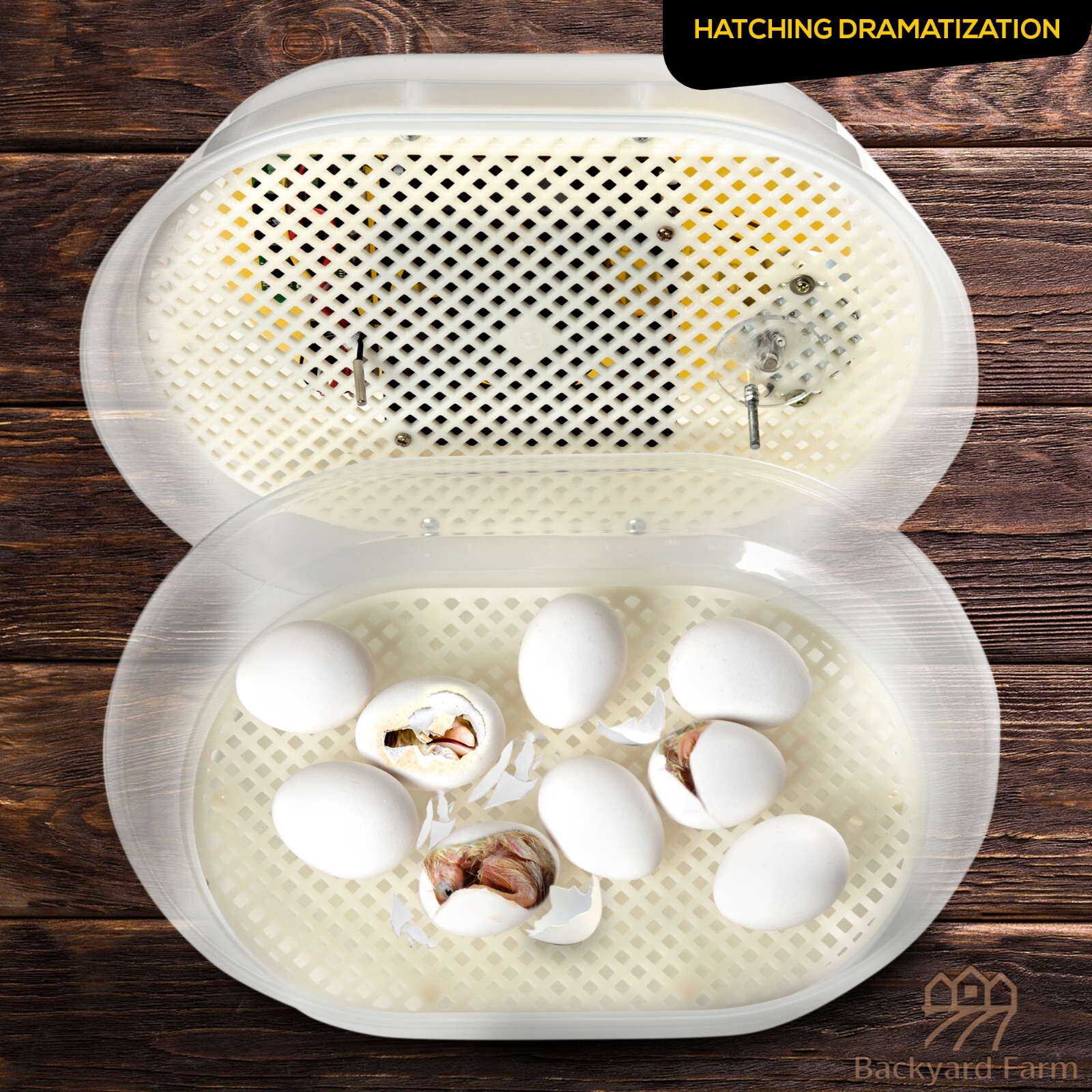 HatchMate™ Automatic Egg Incubator w/ Humidity For 9-12 Eggs Hatch Chicken Quail