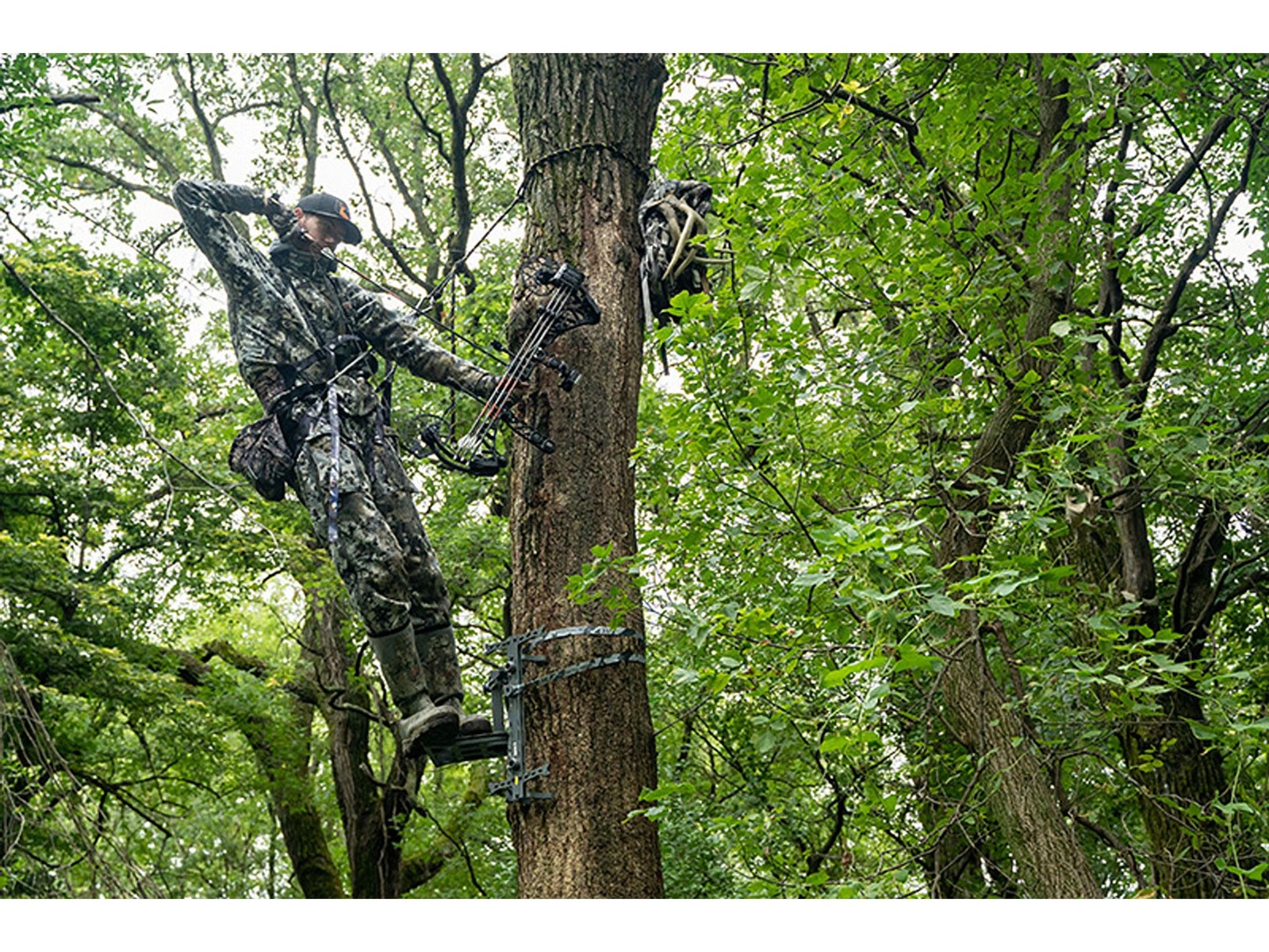 Hawk Helium Hammock Apex Tree Saddle Platform