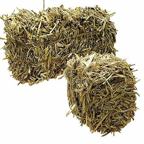 Green Vista Barley Straw Bales 8-10 lb  Pond Lake Algae Control Water Treatment