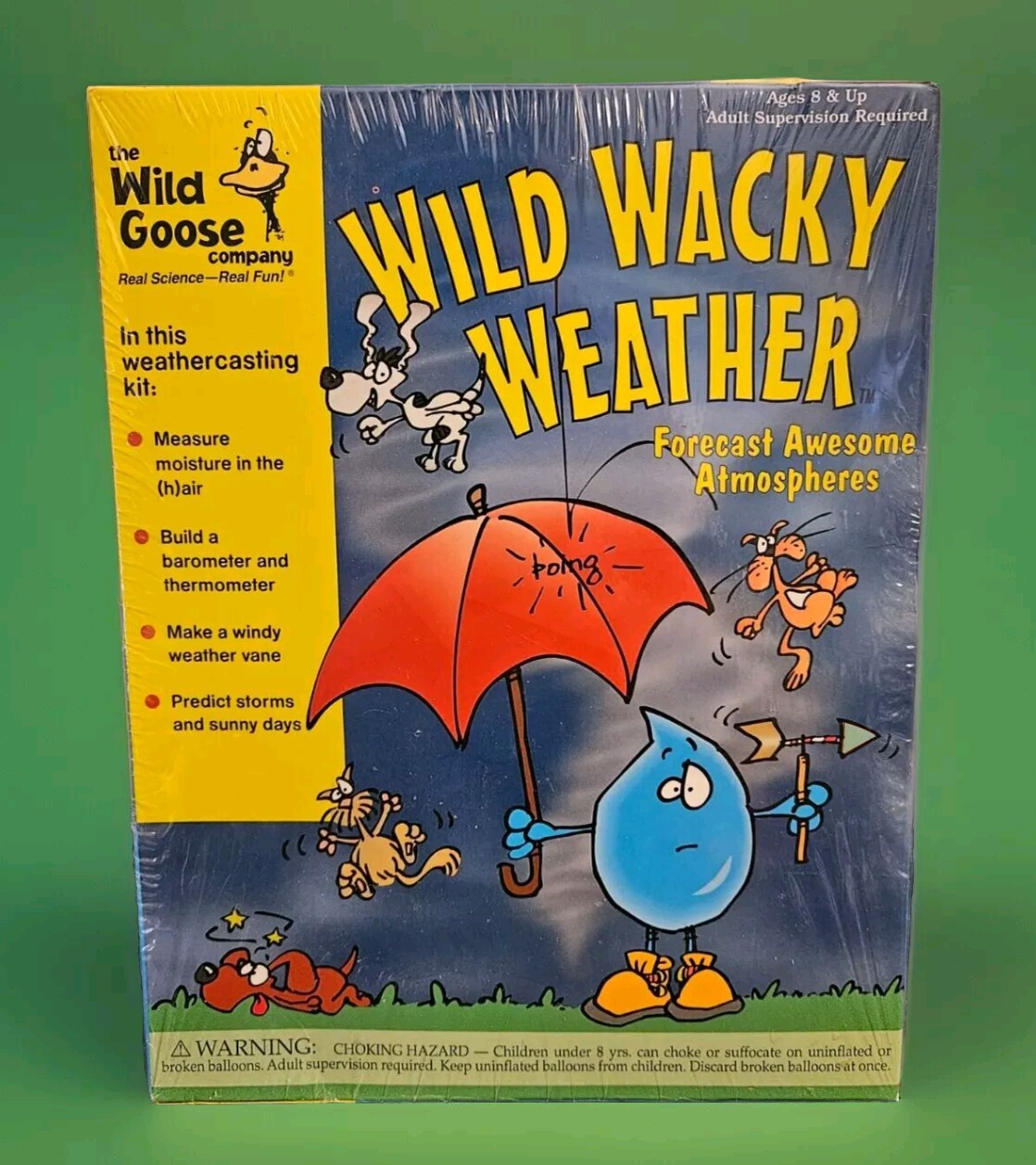 Wild Goose Company WILD WACKY WEATHER Kit Homeschool Science Activity Age 8+