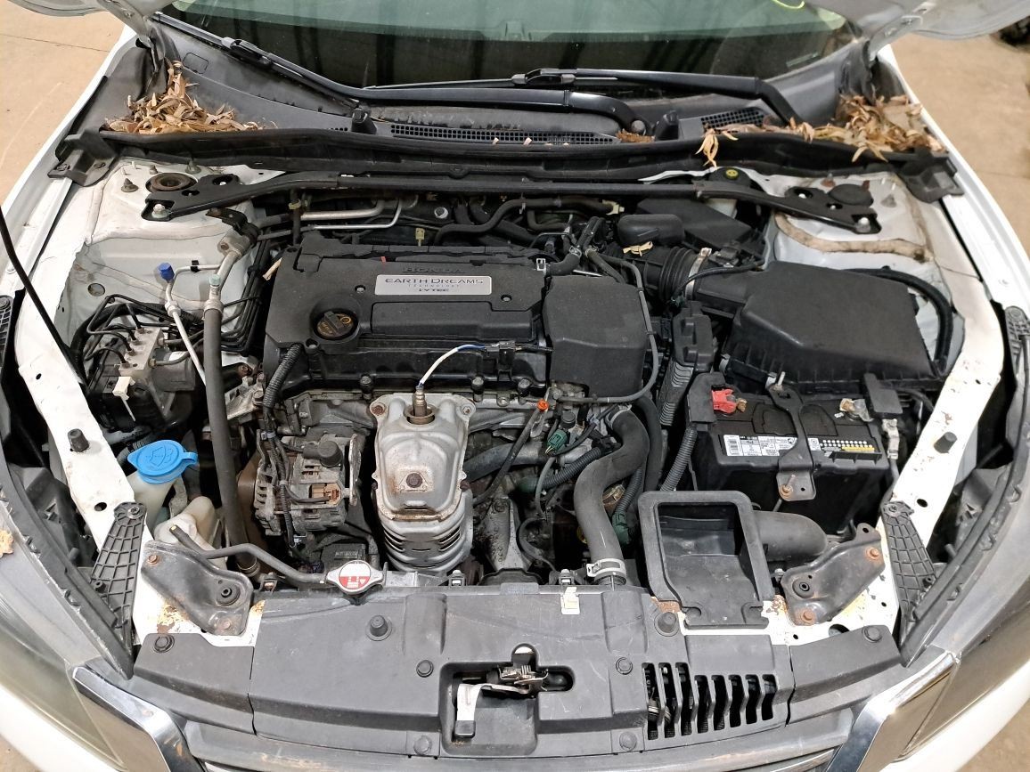 2014 Accord Jack Sku#4417854