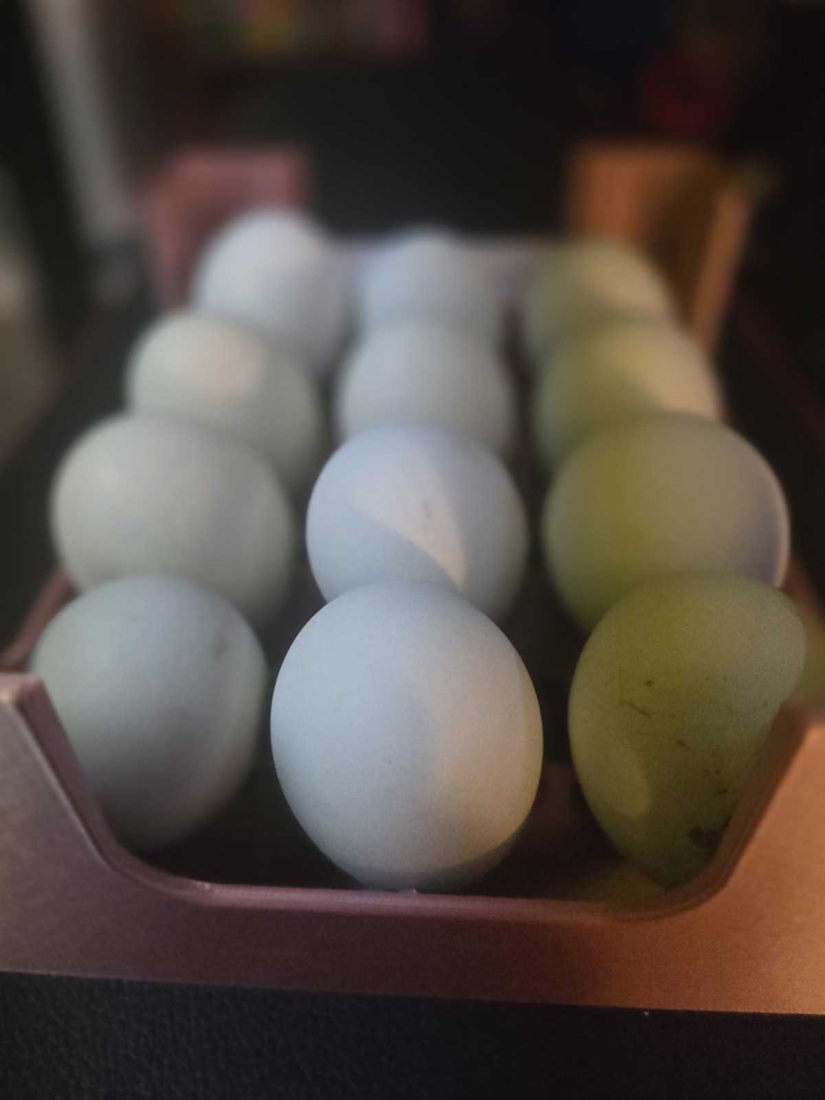6+ Fertilized Blue & Olive Chicken Eggs