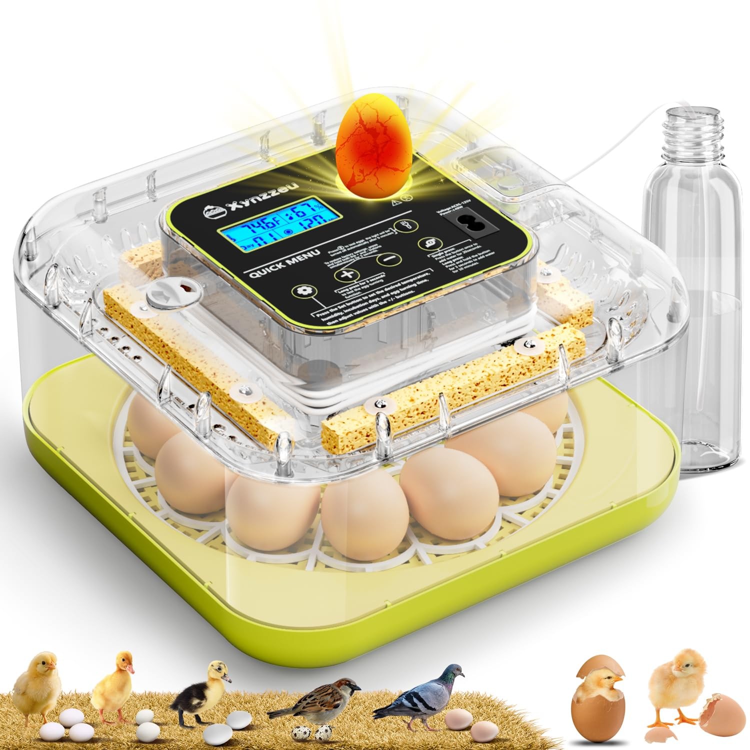 Xynzzeu Egg Incubators For Hatching Eggs 12 Egg Incubator Automatic Egg Turning