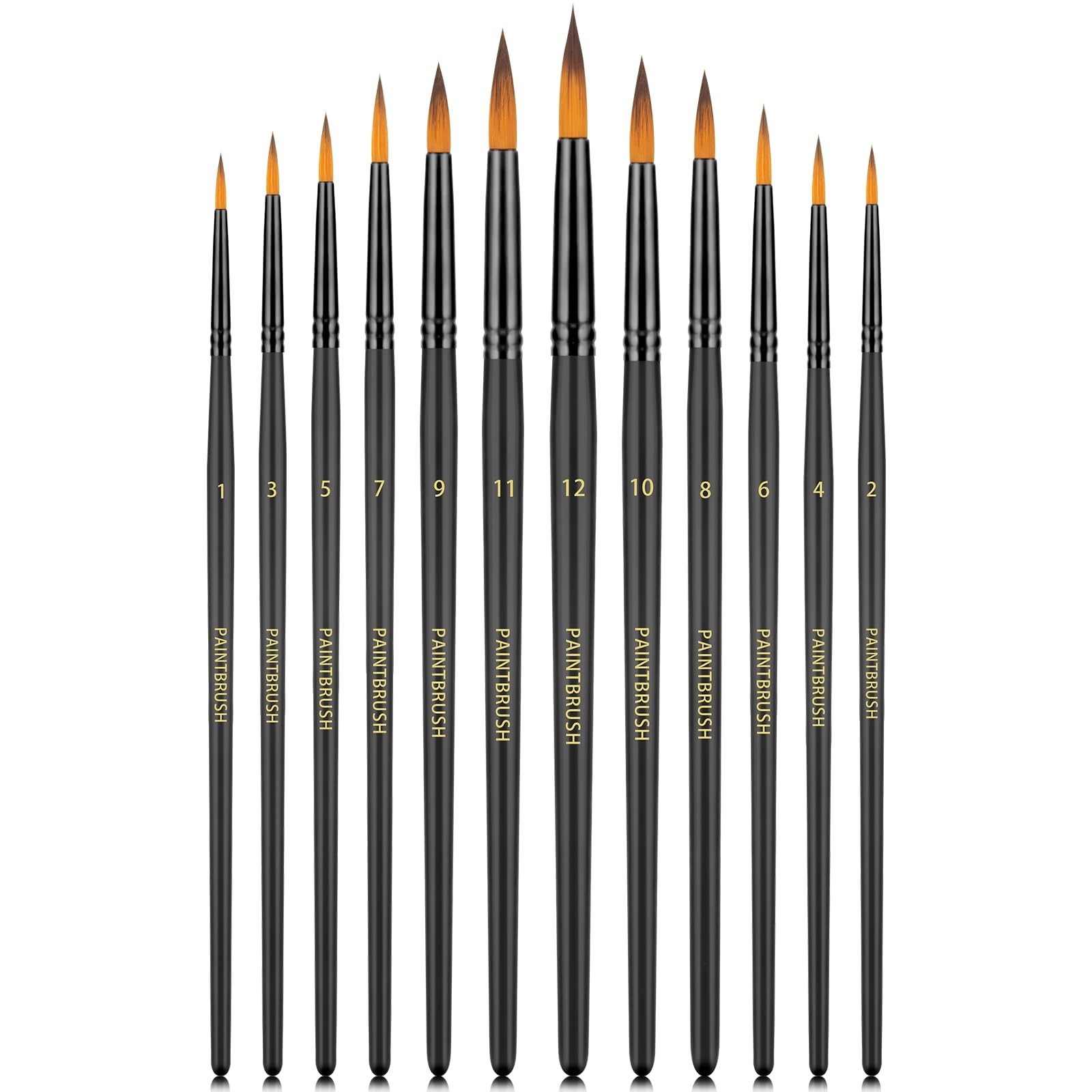 Watercolor Brushes Professional Set，12pcs Artist Watercolor Paint Brushes