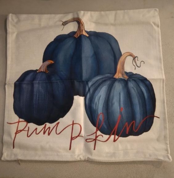 Pillow Cover 3 Blue pumpkin Zipper Bottom 277816