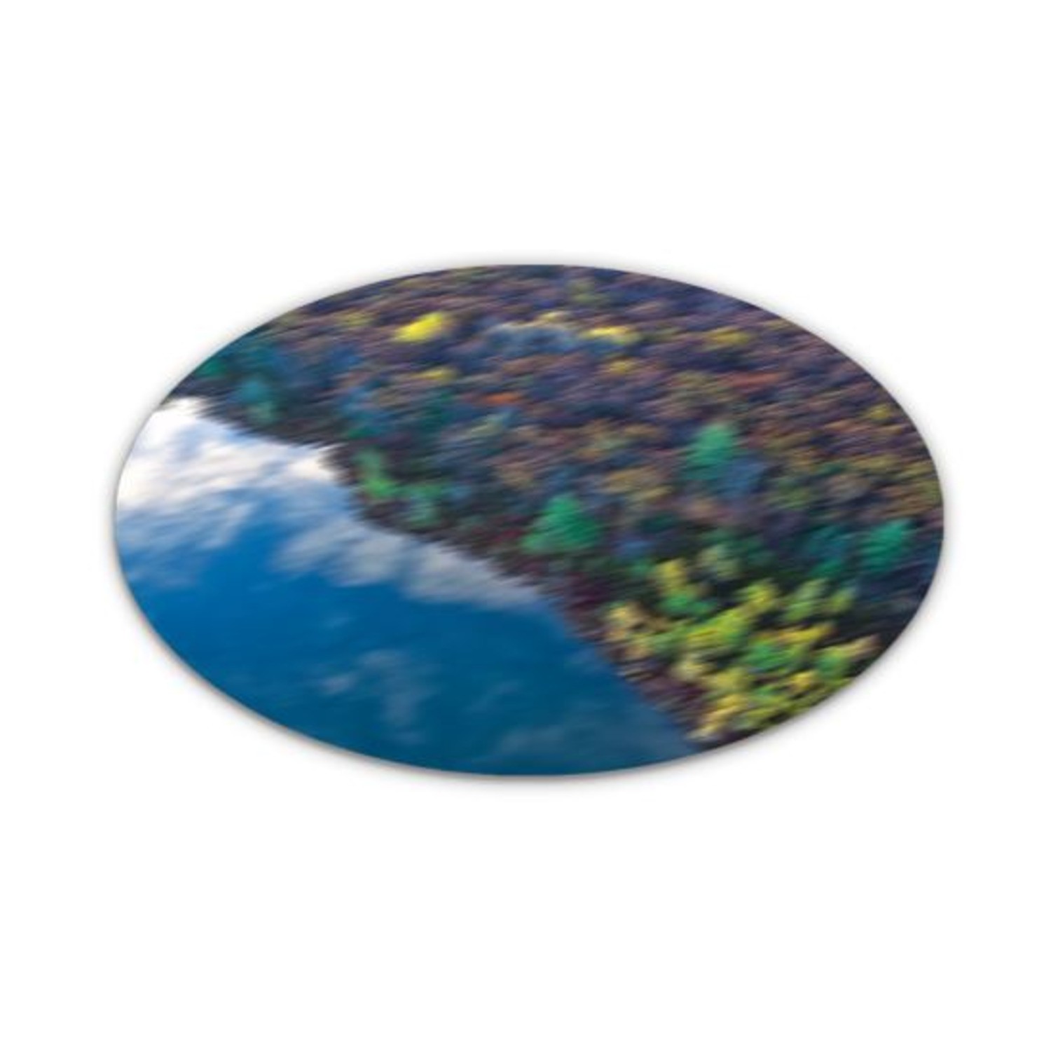 Hobby World Vinyl Decal 300mm Forest SW (New)
