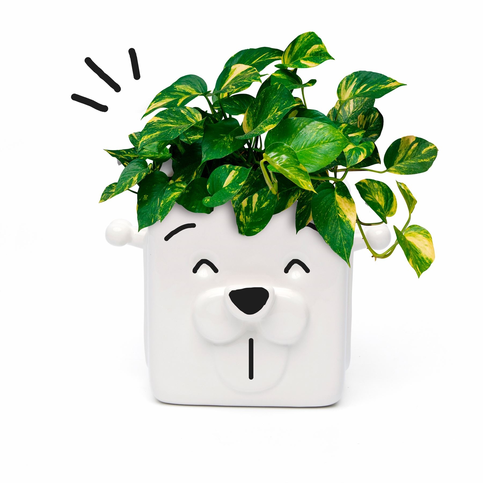 Ceramic Puppy Planter by 30 Watt Glasses Holder Customizable