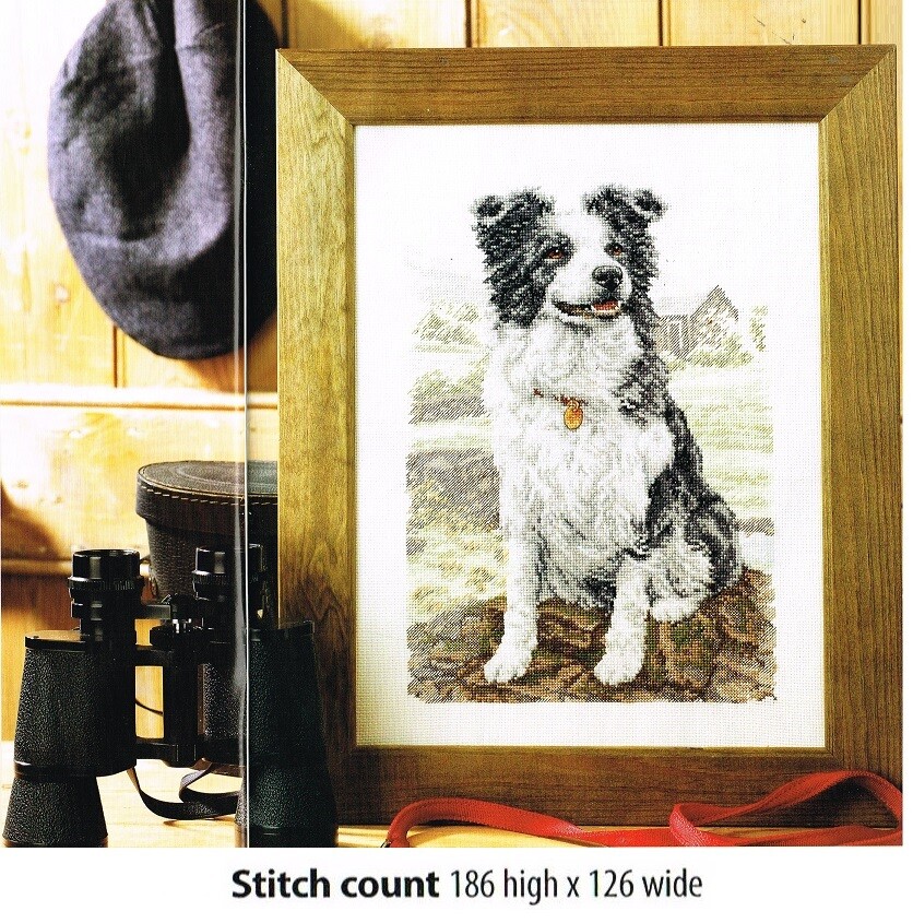 MAN'S BEST FRIEND   CROSS STITCH PATTERN   ALS   PA