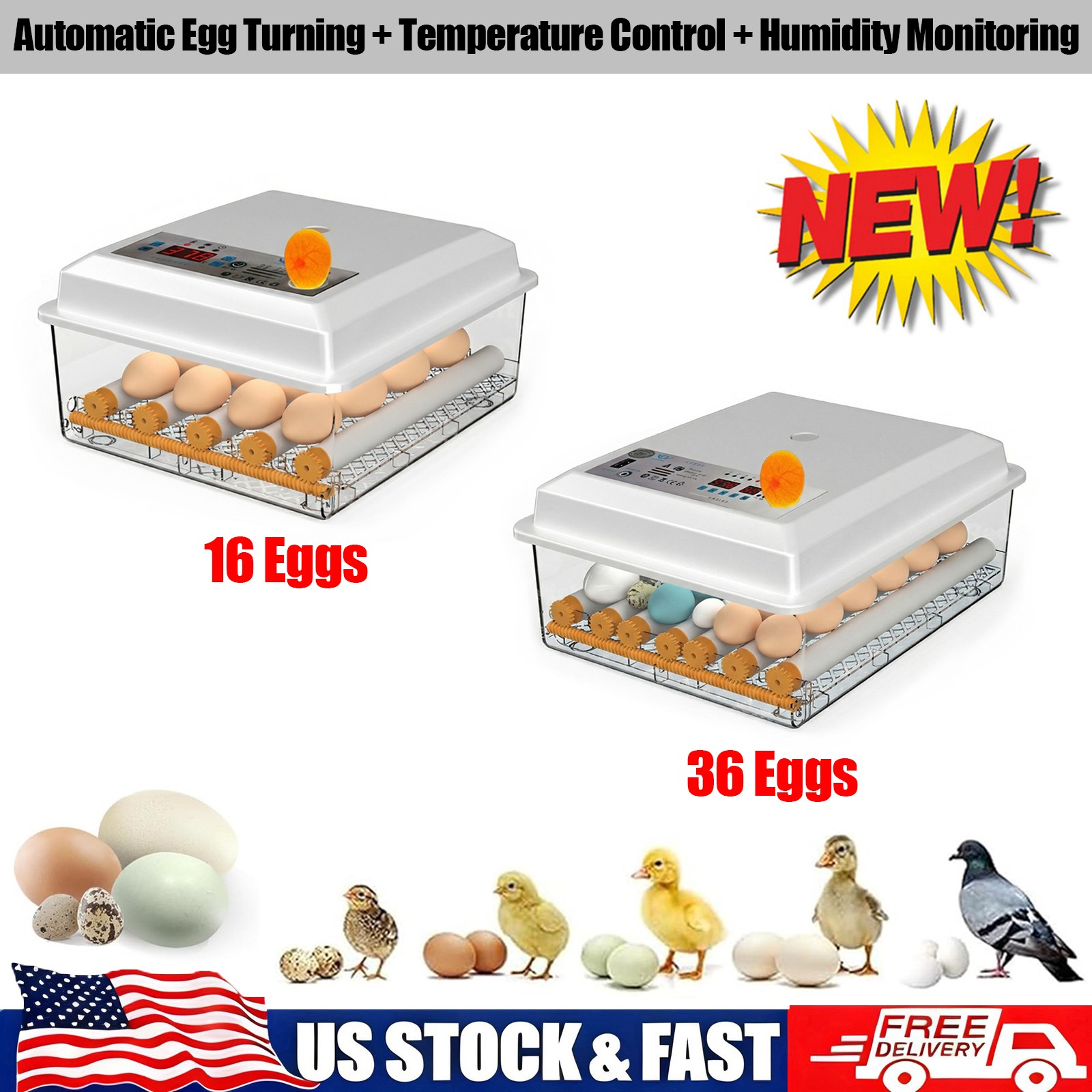 16/36 Eggs Incubator for Hatching Eggs with Automatic Egg Turning & Temp Control