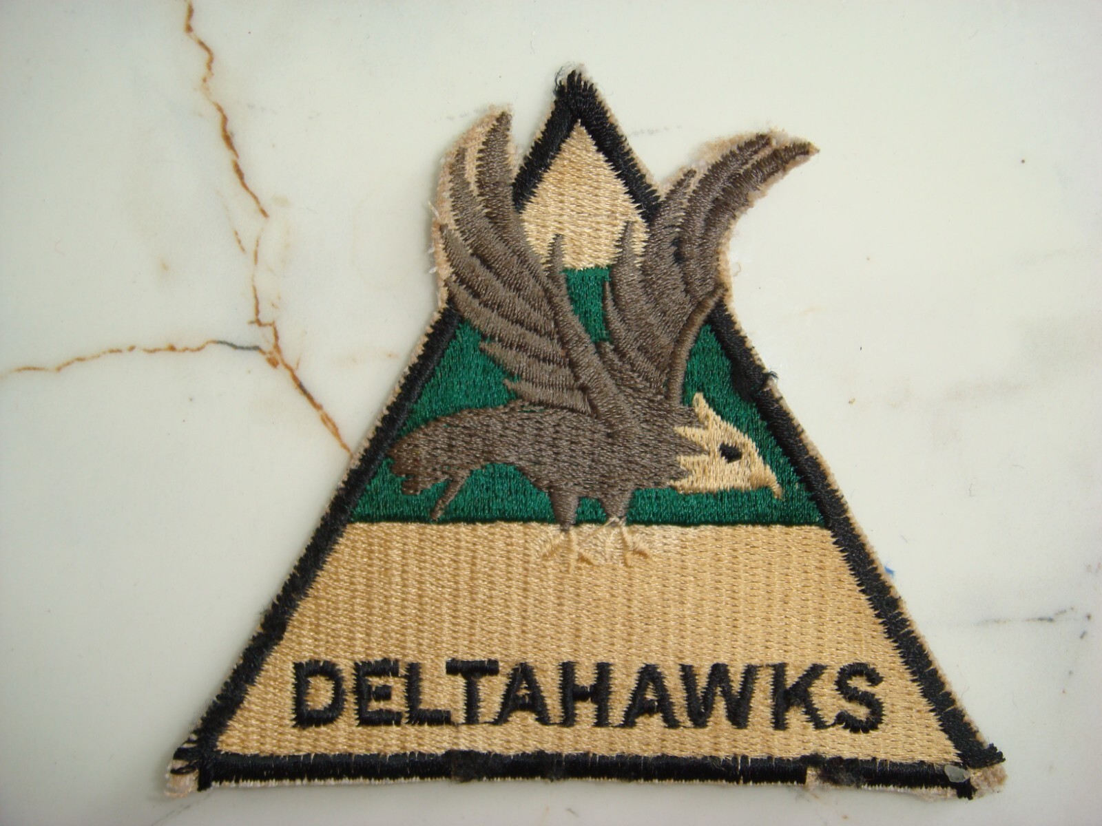 US 244th AVIATION COMPANY  DELTA HAWKS, VIETNAM WAR PATCH