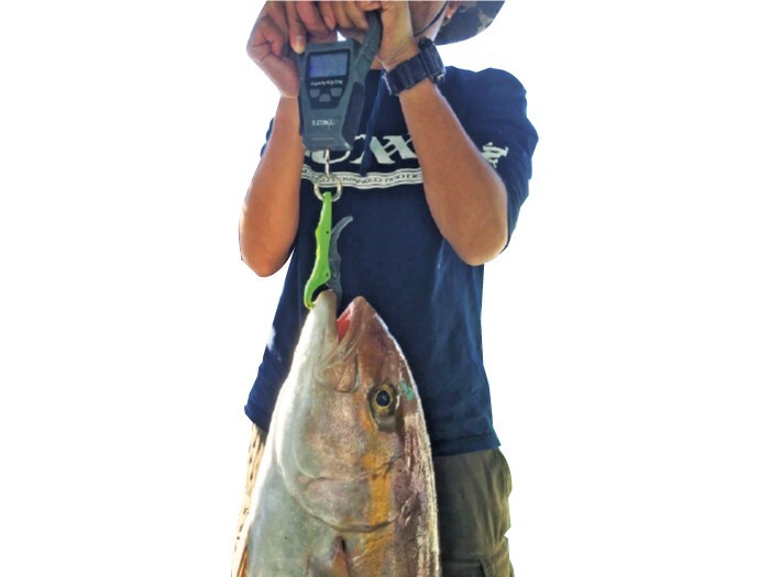 Gamakatsu Fishing Scale 50kg LE121 Digital Luggage Hanging grip waterproofing