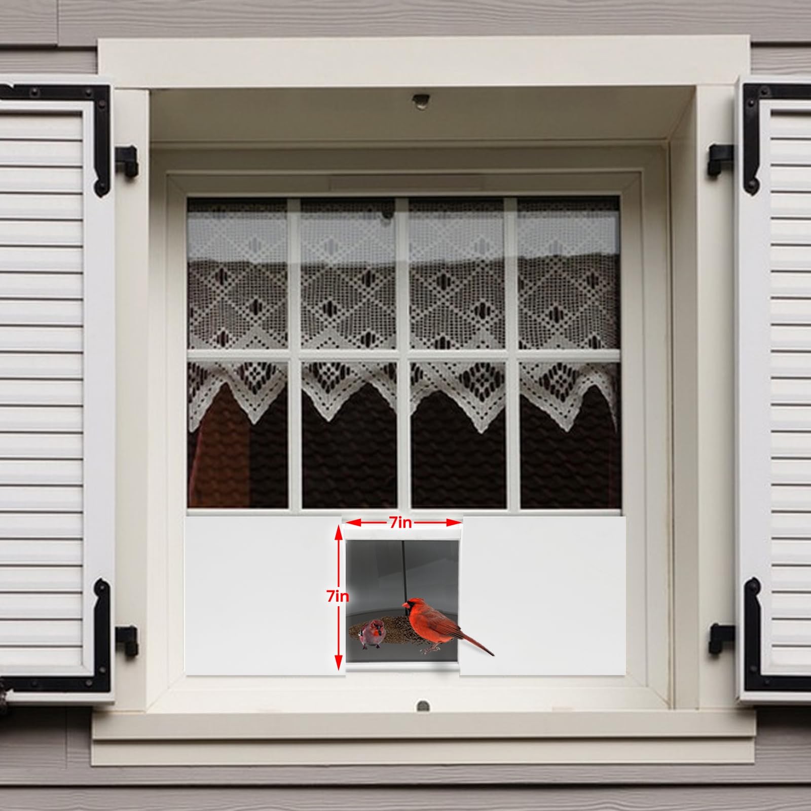 JOYSEUS Window Bird Feeder, 180° Clear View Durable and White
