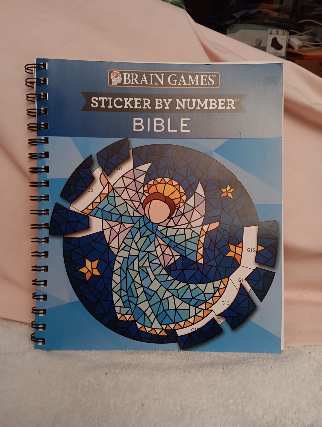 BOOK OF BRAIN GAMES STICKER BY NUMBER BIBLE