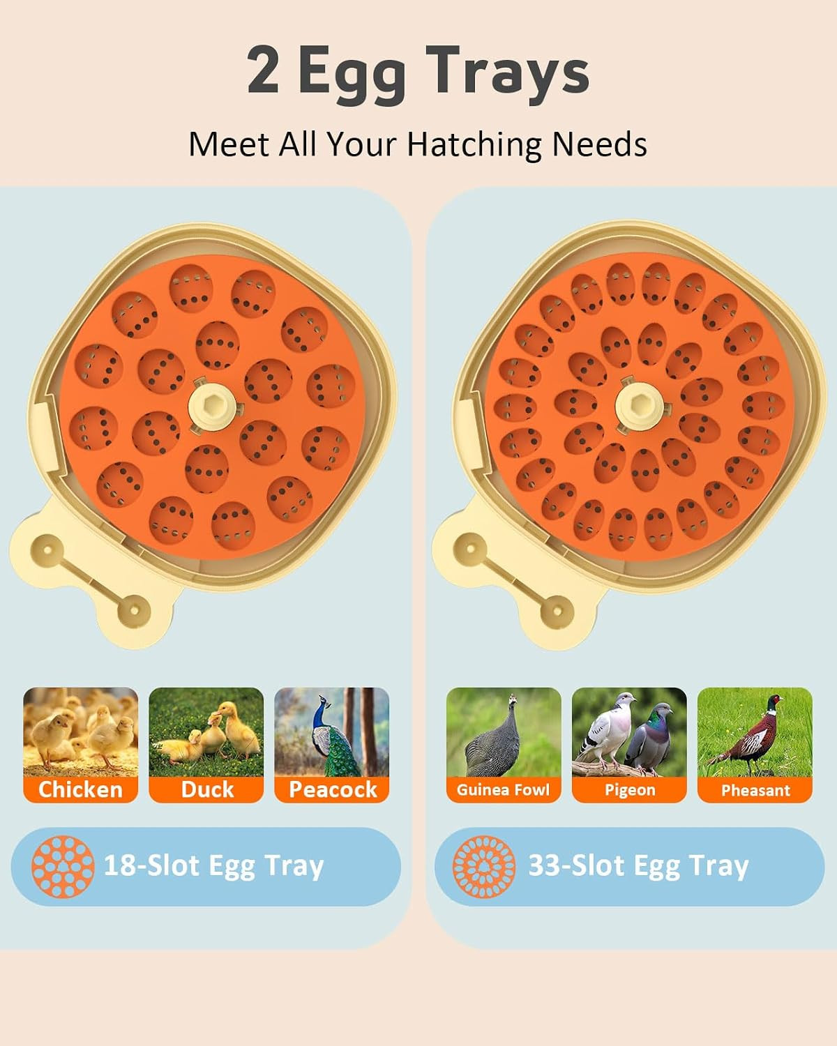 18 Egg Incubator for Hatching Eggs with Automatic Turning, Digital Temperature &
