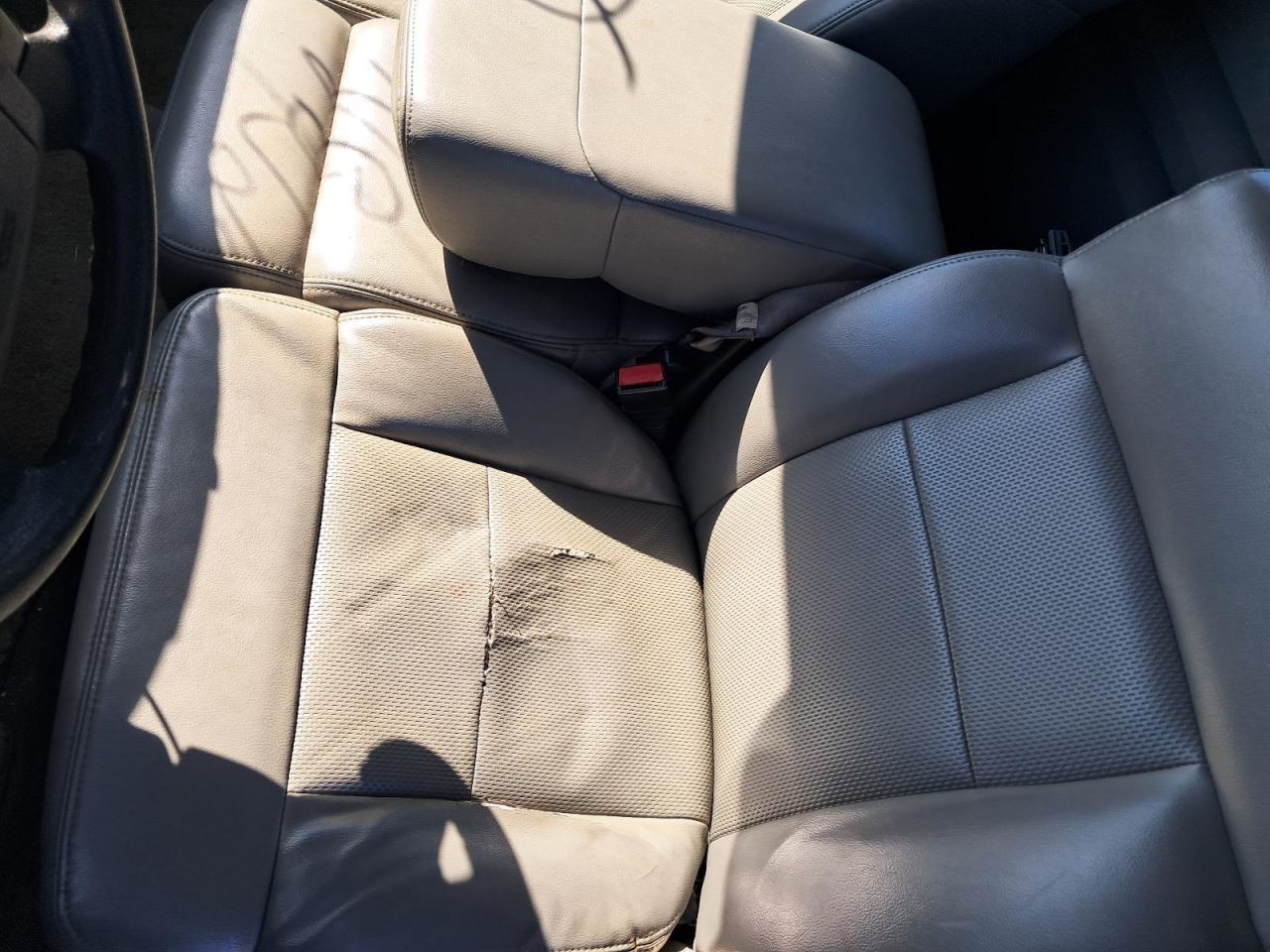 F150 2005 Glove Box 4850644