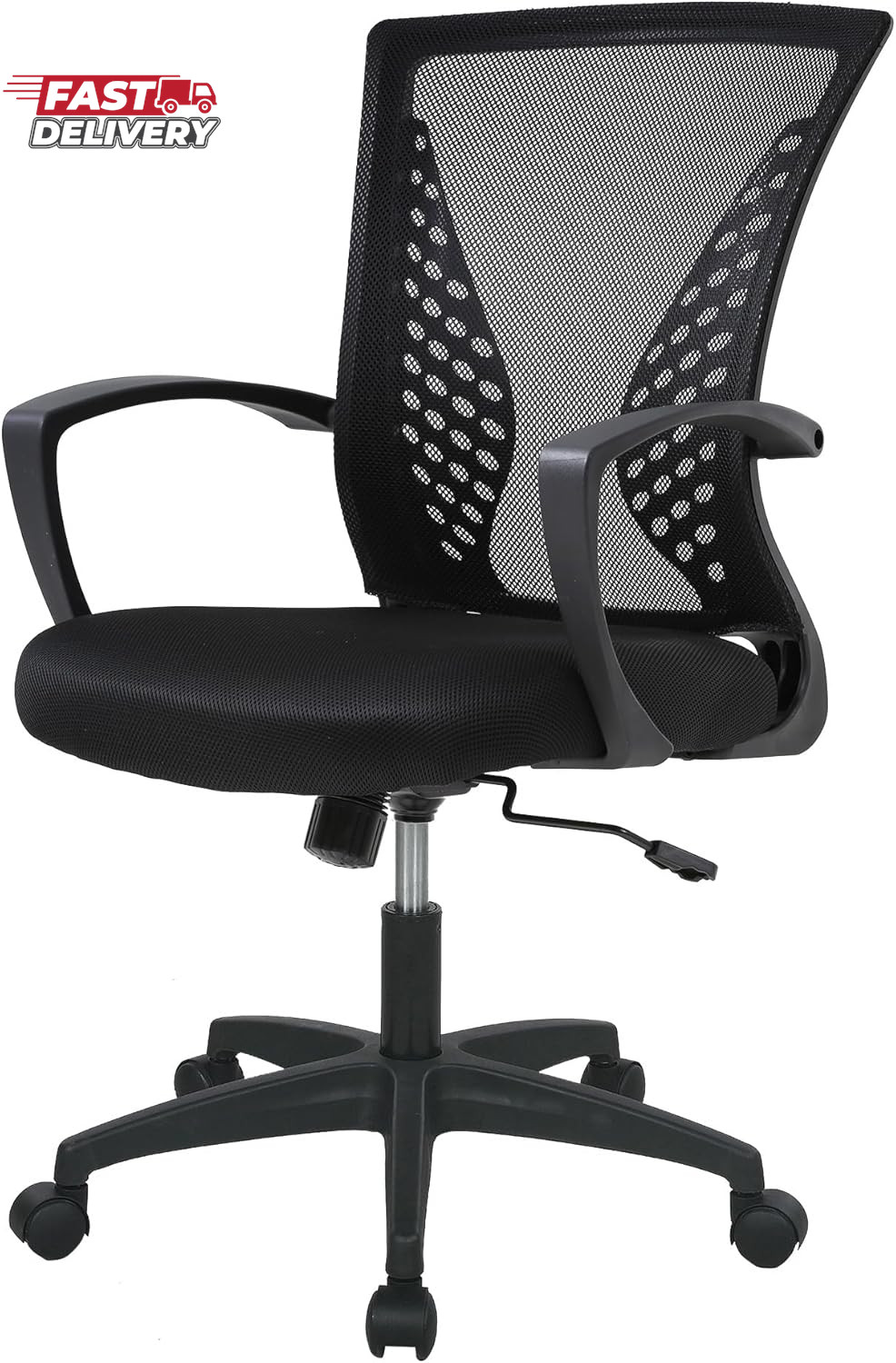 FDW Home Office Chair Mid Back PC Swivel Lumbar Support Adjustable Desk Task Com